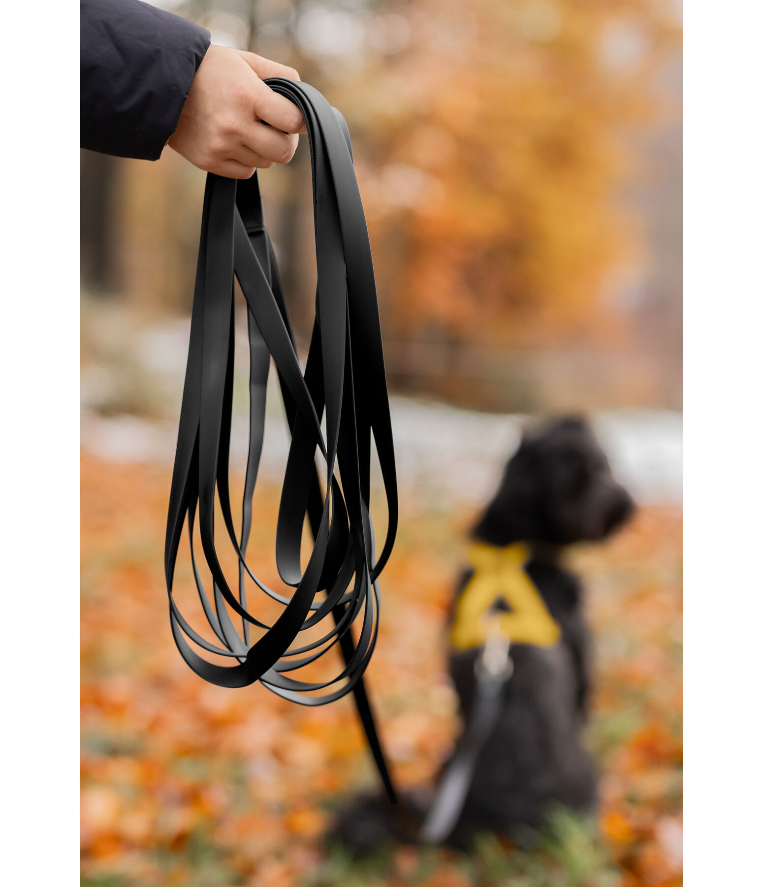 Waterproof Reitbegleit-Hundeleine Ginny