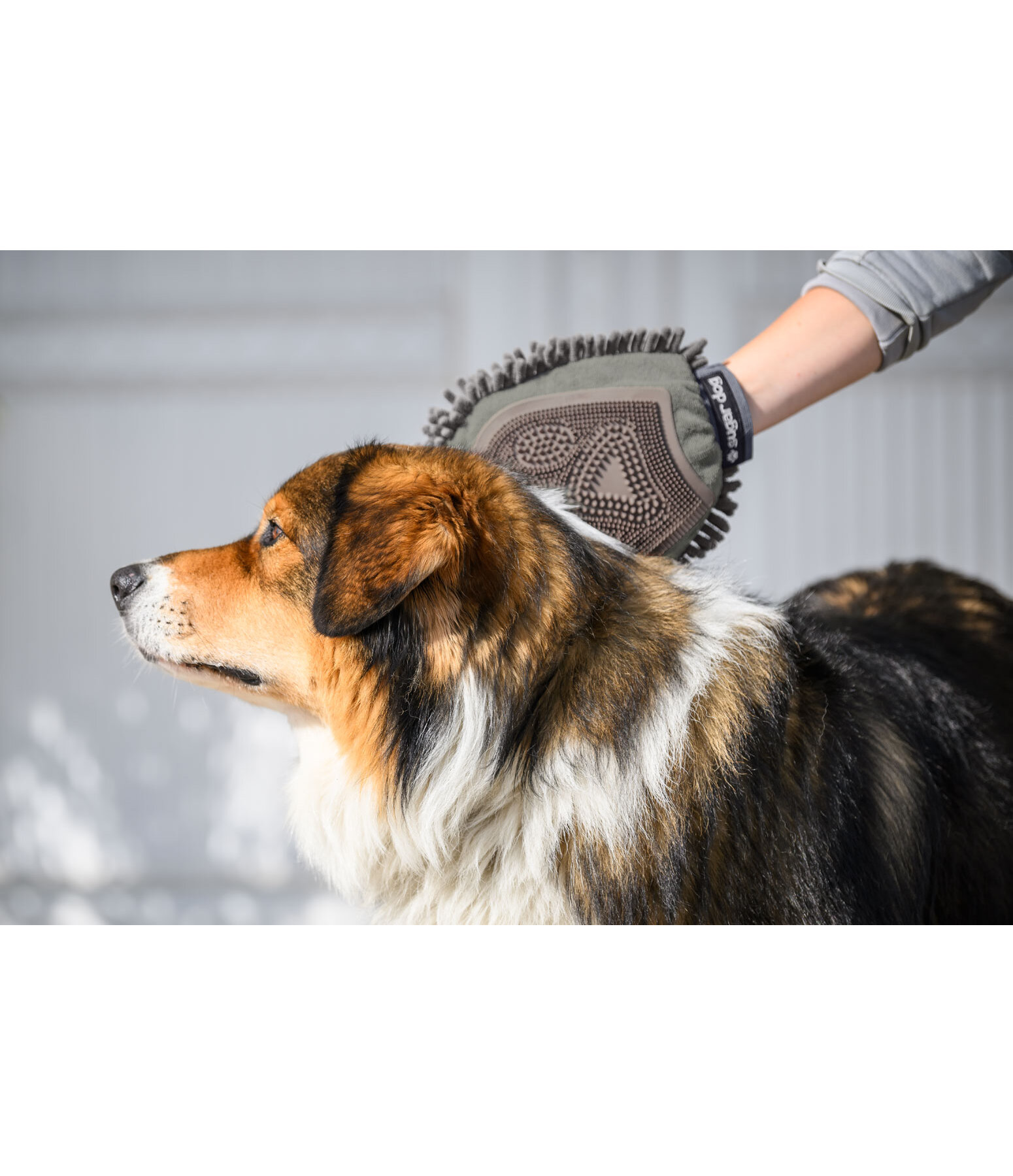 Handschuh-Striegel Cosma für Hunde