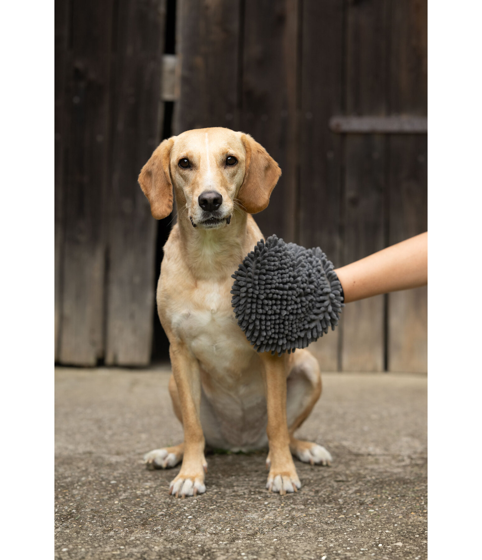 Handschuh-Striegel Cosma f�r Hunde