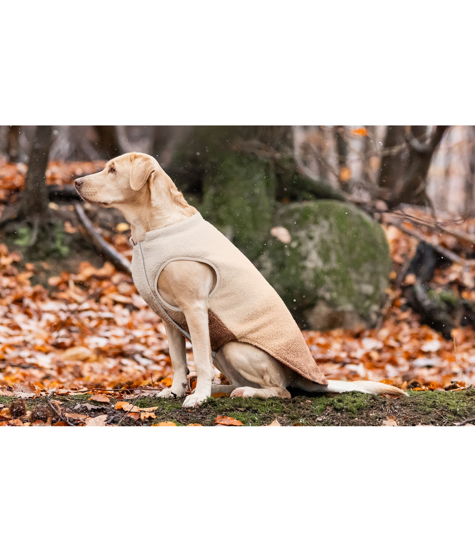 Softshell-Hunde-Wendeweste Willa, 80 g