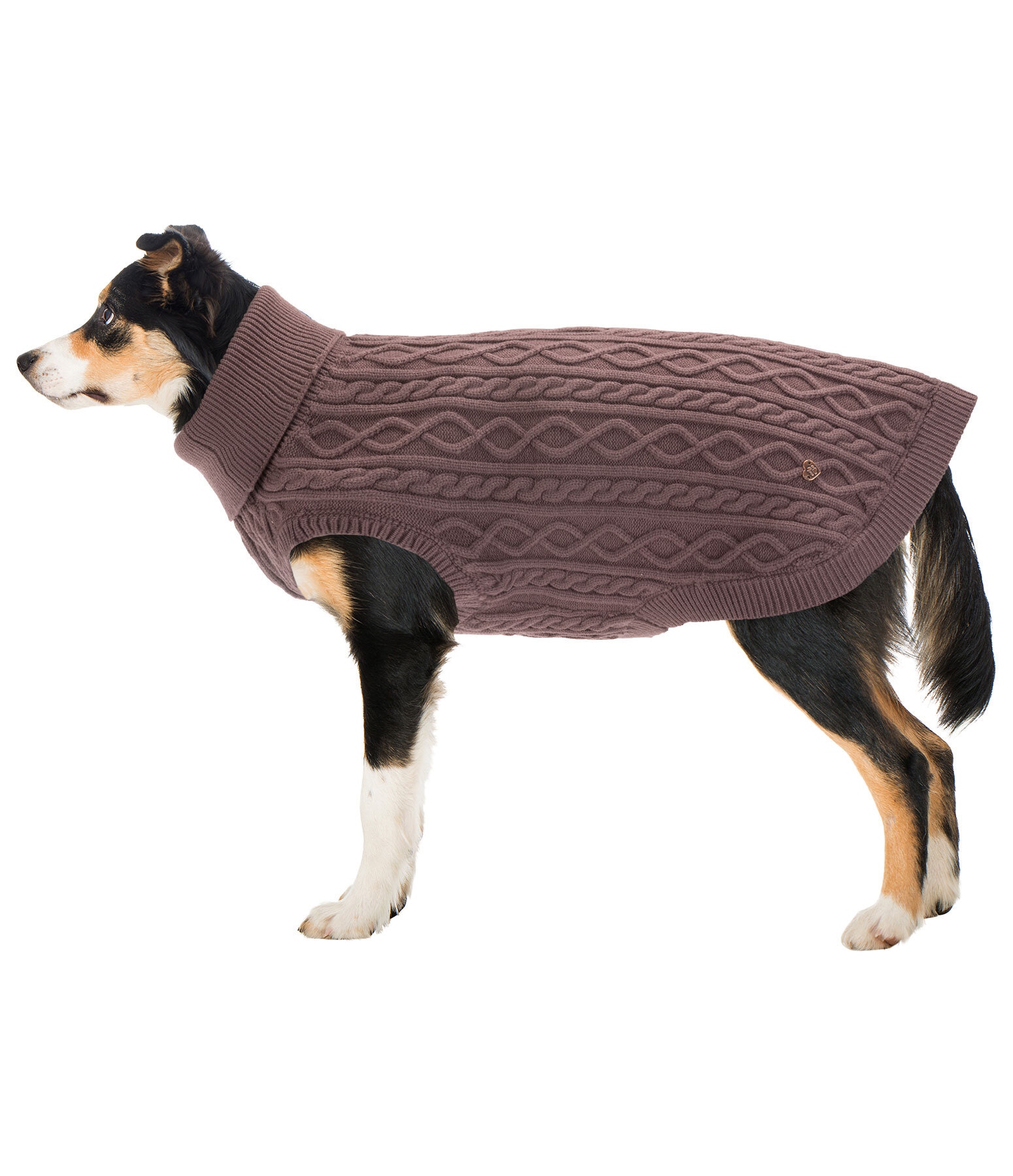 Hunde-Rollkragenpullover Maisie