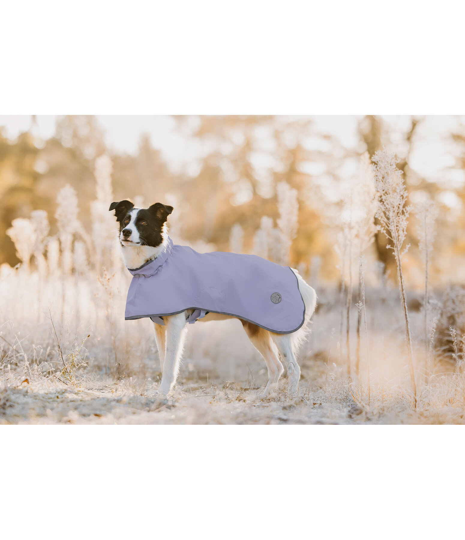 Hunde-Regenmantel Thousand Islands, 0 g