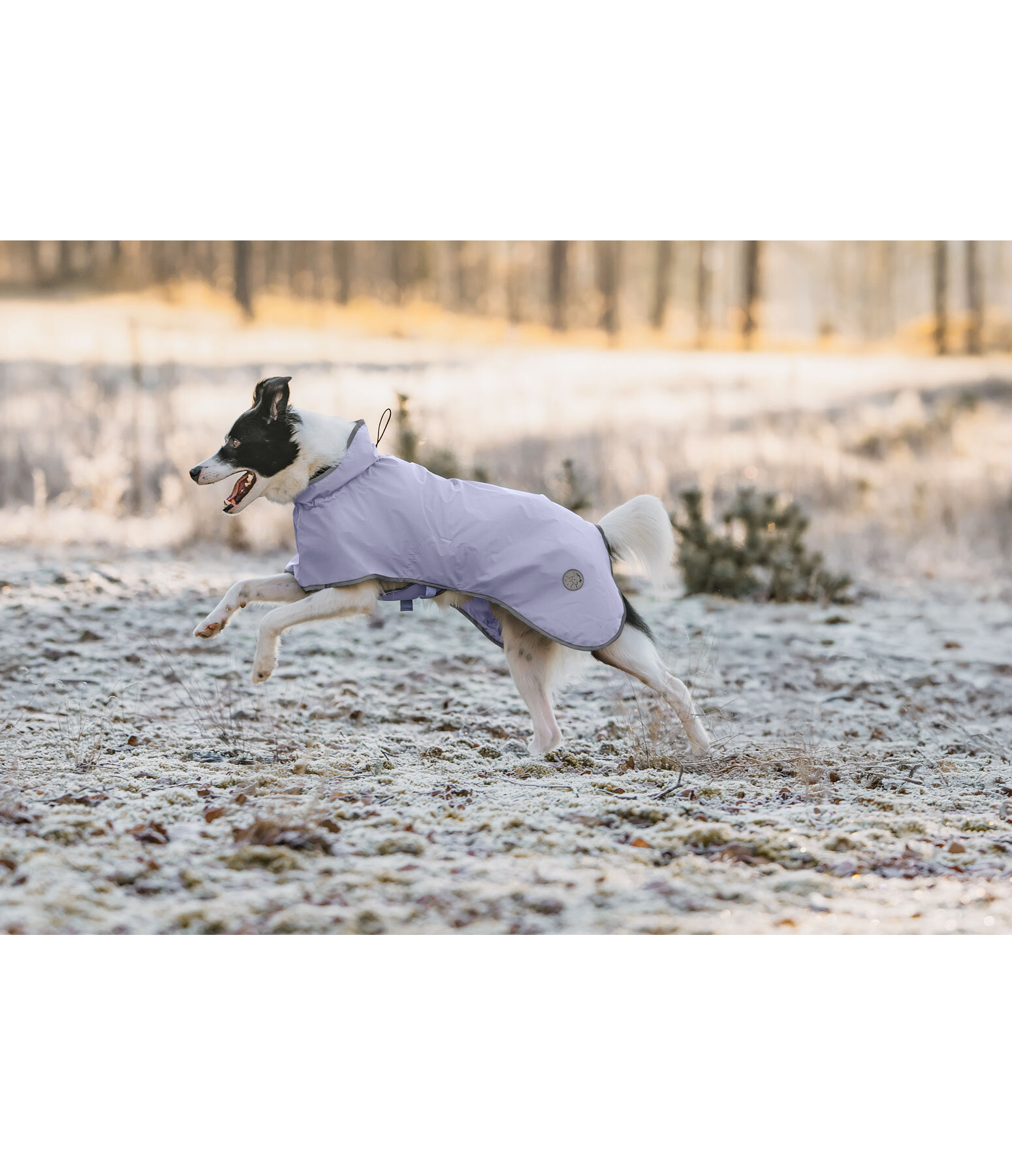 Hunde-Regenmantel Thousand Islands, 0 g