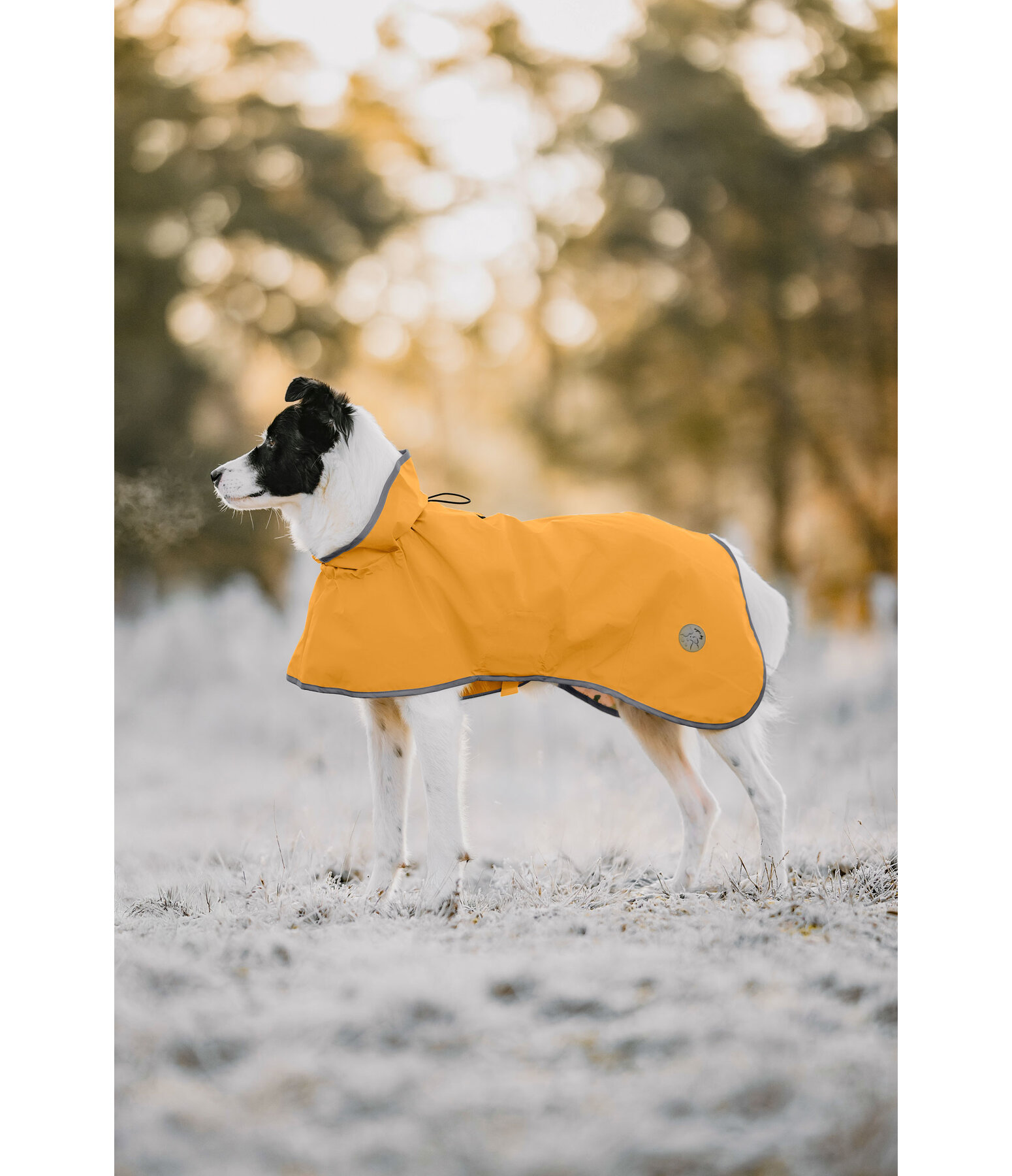 Hunde-Regenmantel Thousand Islands, 0 g