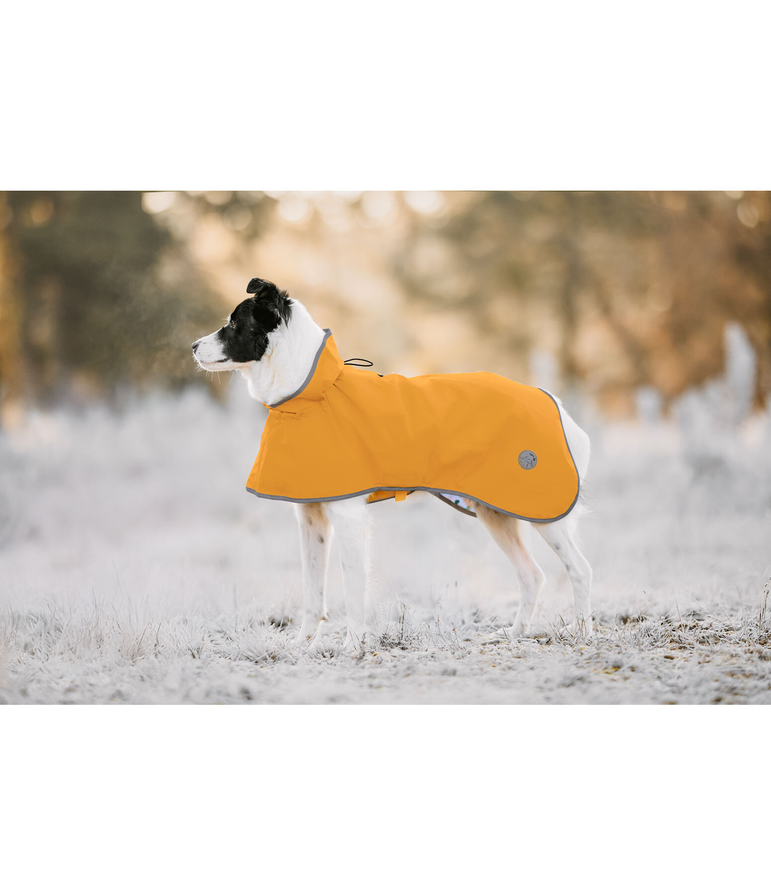 Hunde-Regenmantel Thousand Islands, 0 g