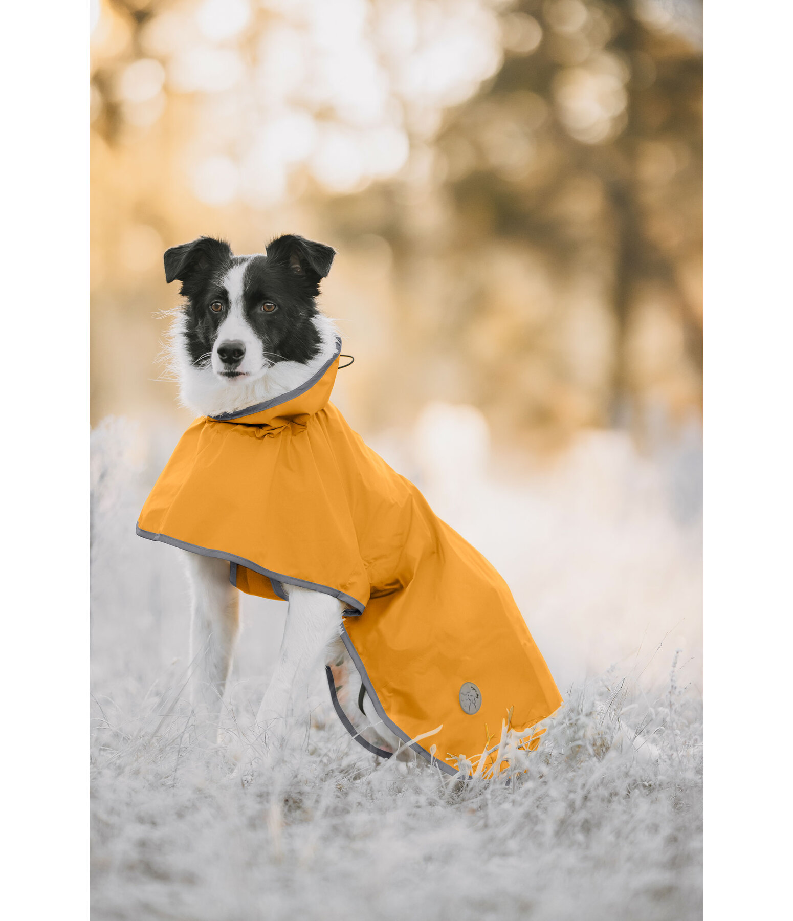 Hunde-Regenmantel Thousand Islands, 0 g