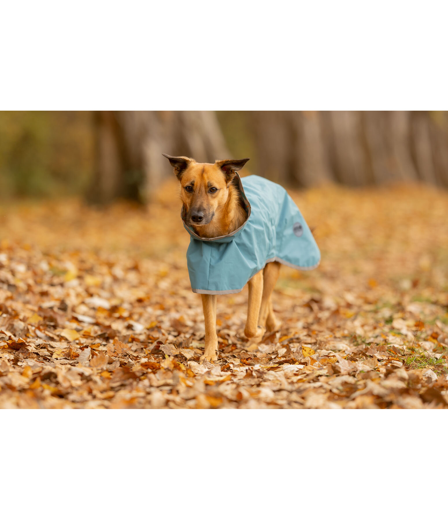 Hunde-Regenmantel Thousand Islands, 0 g