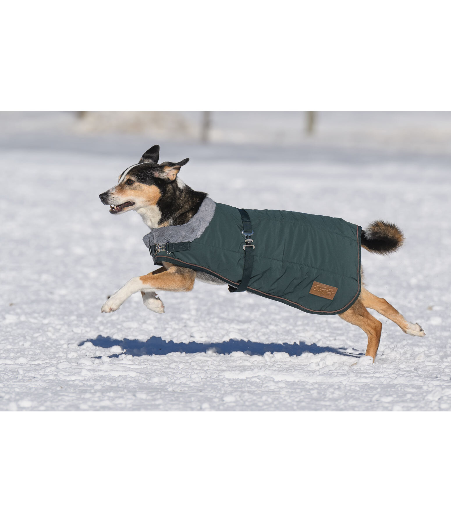 Winter-Hundemantel Gizmo mit Teddyfell-Innenfutter, 200 g