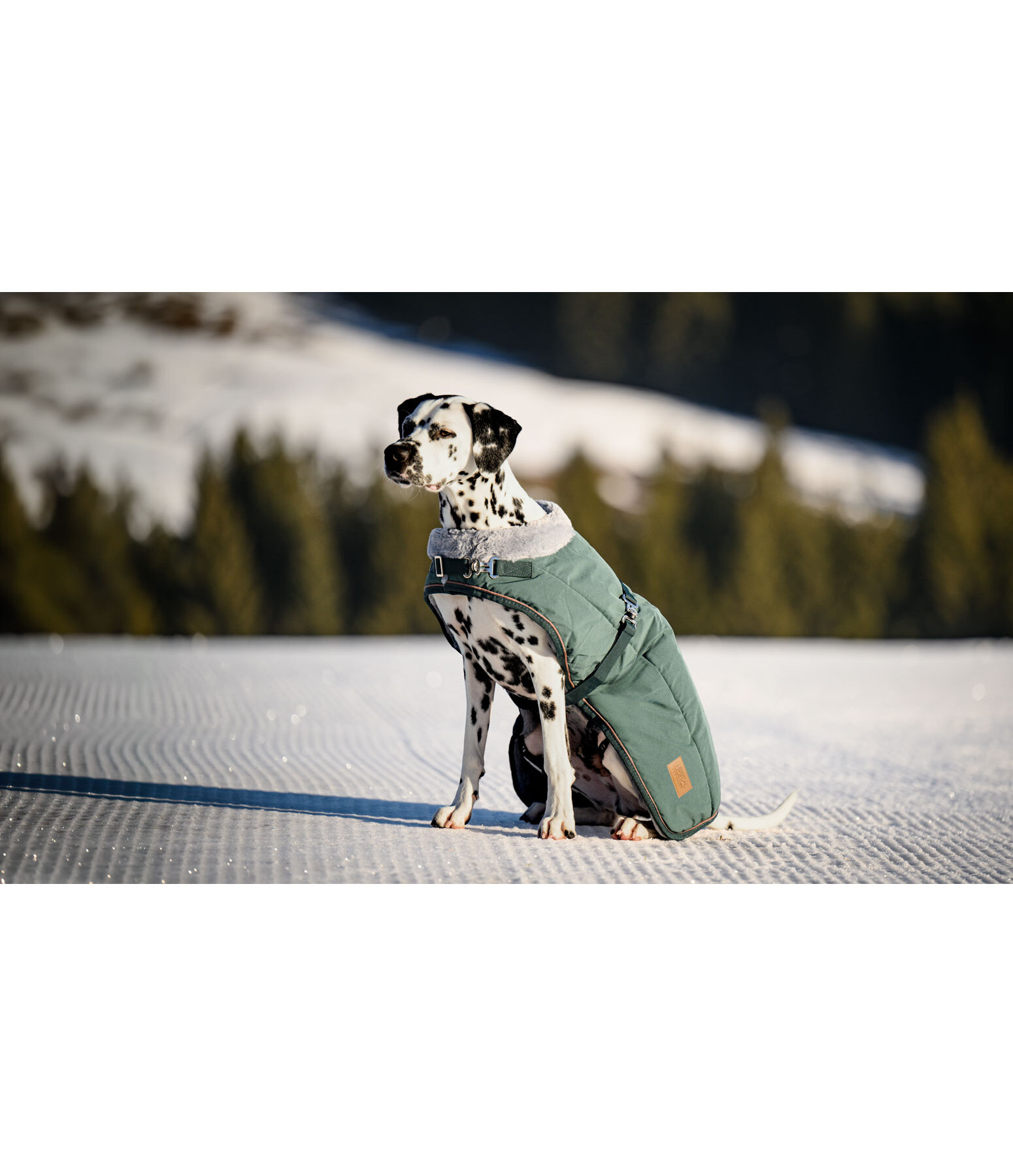 Winter-Hundemantel Gizmo mit Teddyfell-Innenfutter, 200 g