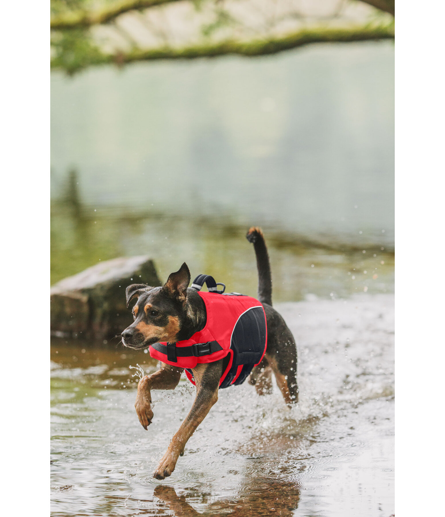 Hunde-Schwimmweste Life Guard