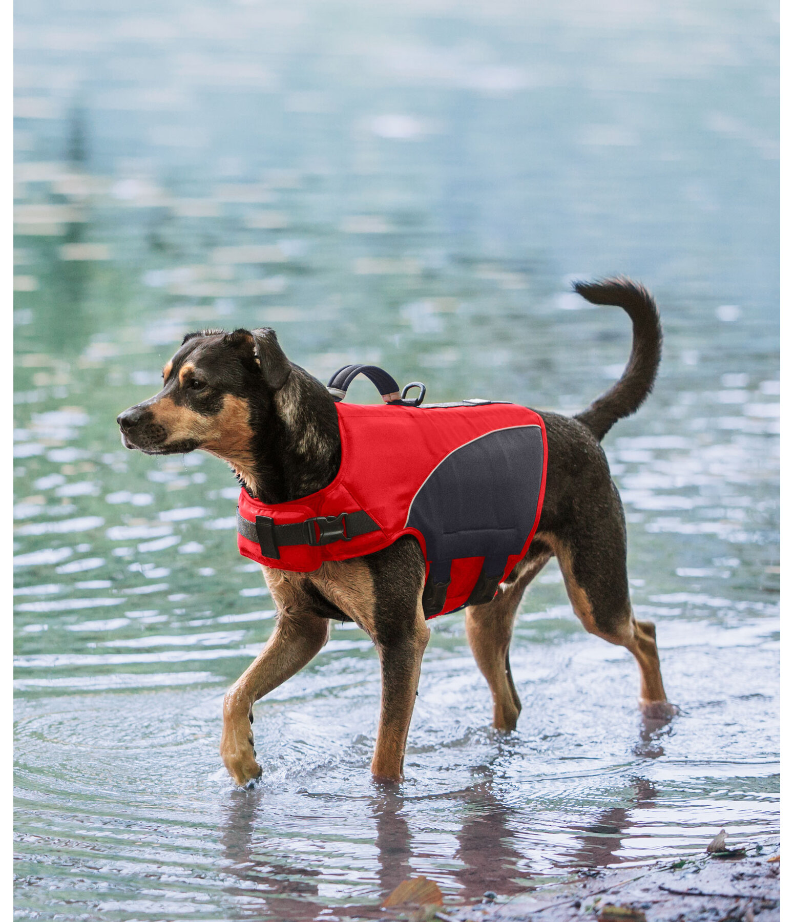 Hunde-Schwimmweste Life Guard