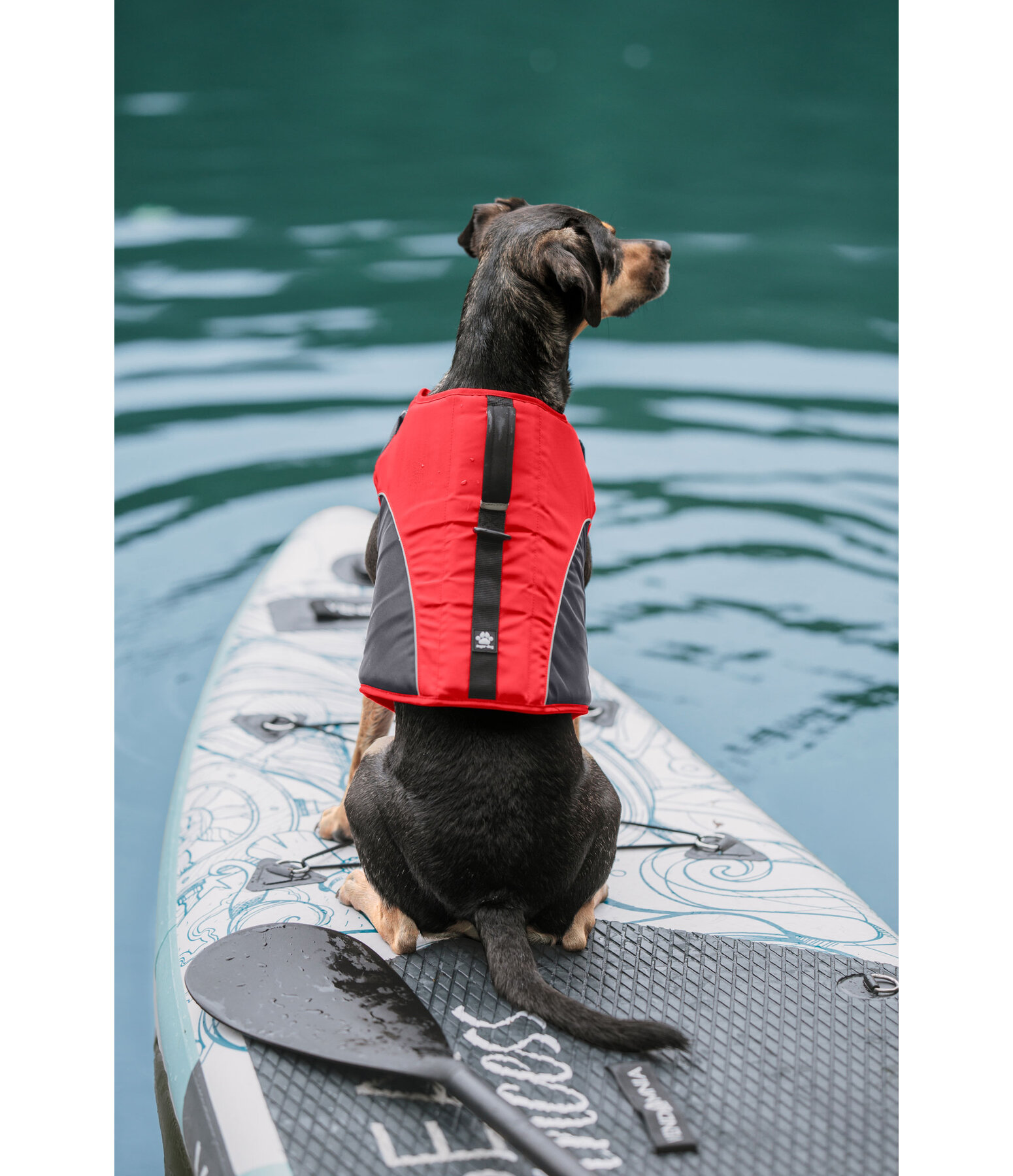 Hunde-Schwimmweste Life Guard