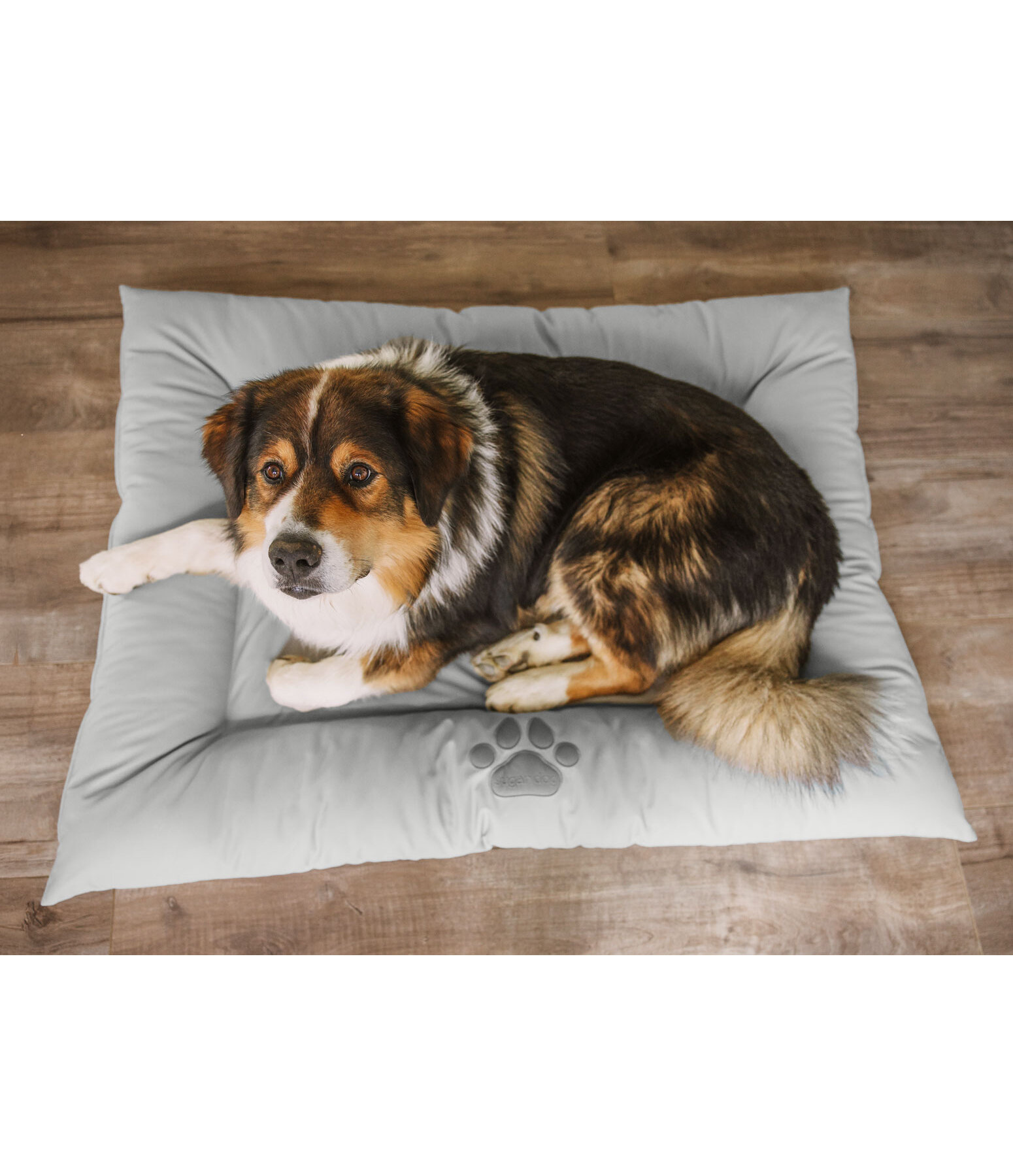 Kunstleder-Hundekissen Gioia