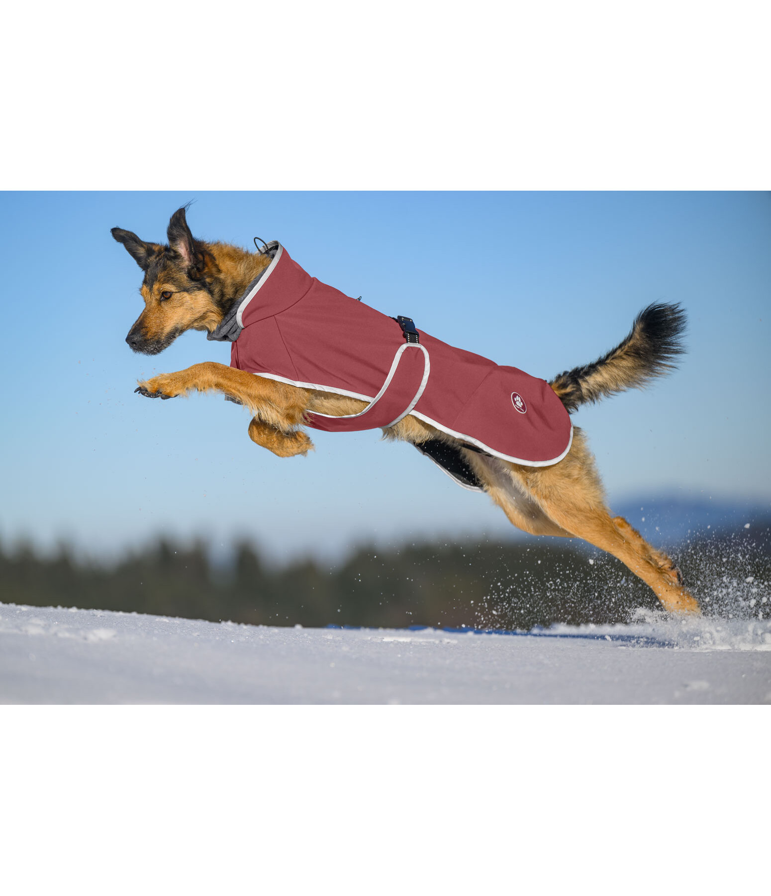 Softshell-Hundemantel mit Fleecekragen Frida