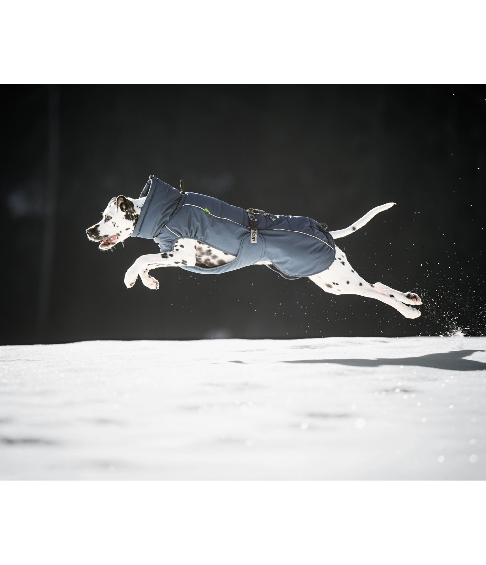 Winter-Hundemantel Marlon, 200-300 g
