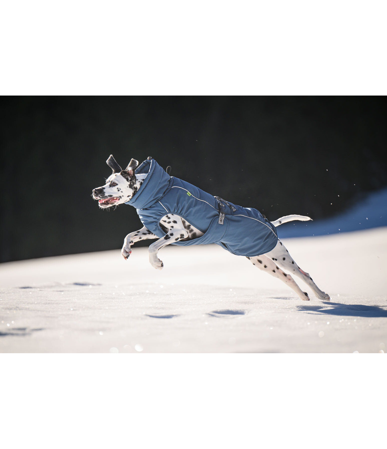 Winter-Hundemantel Marlon, 200-300 g