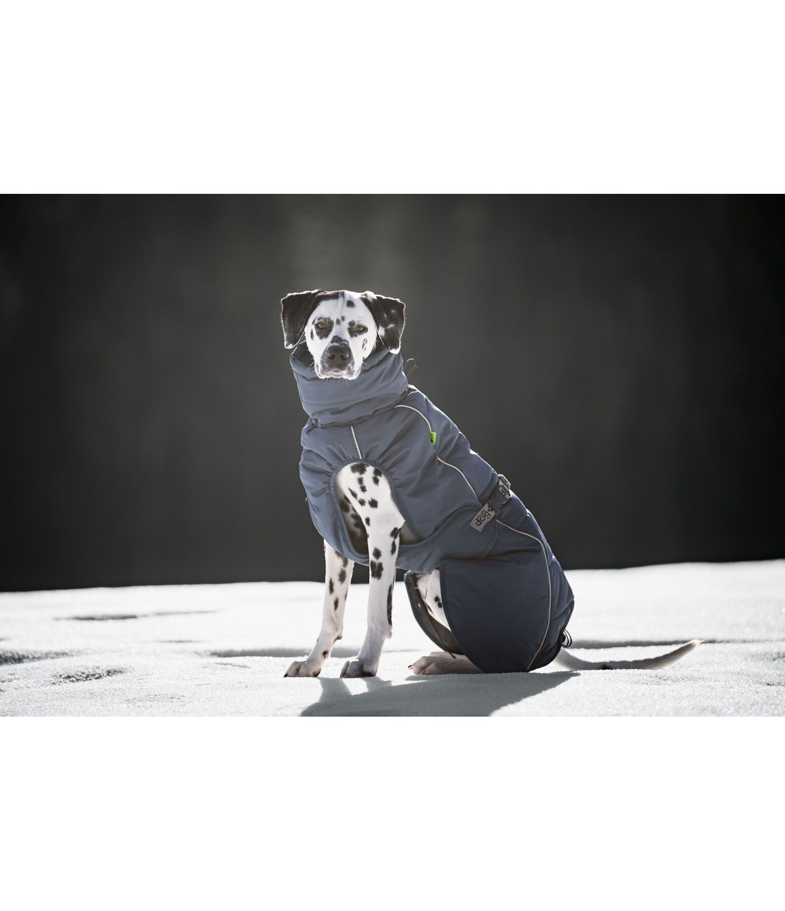 Winter-Hundemantel Marlon, 200-300 g