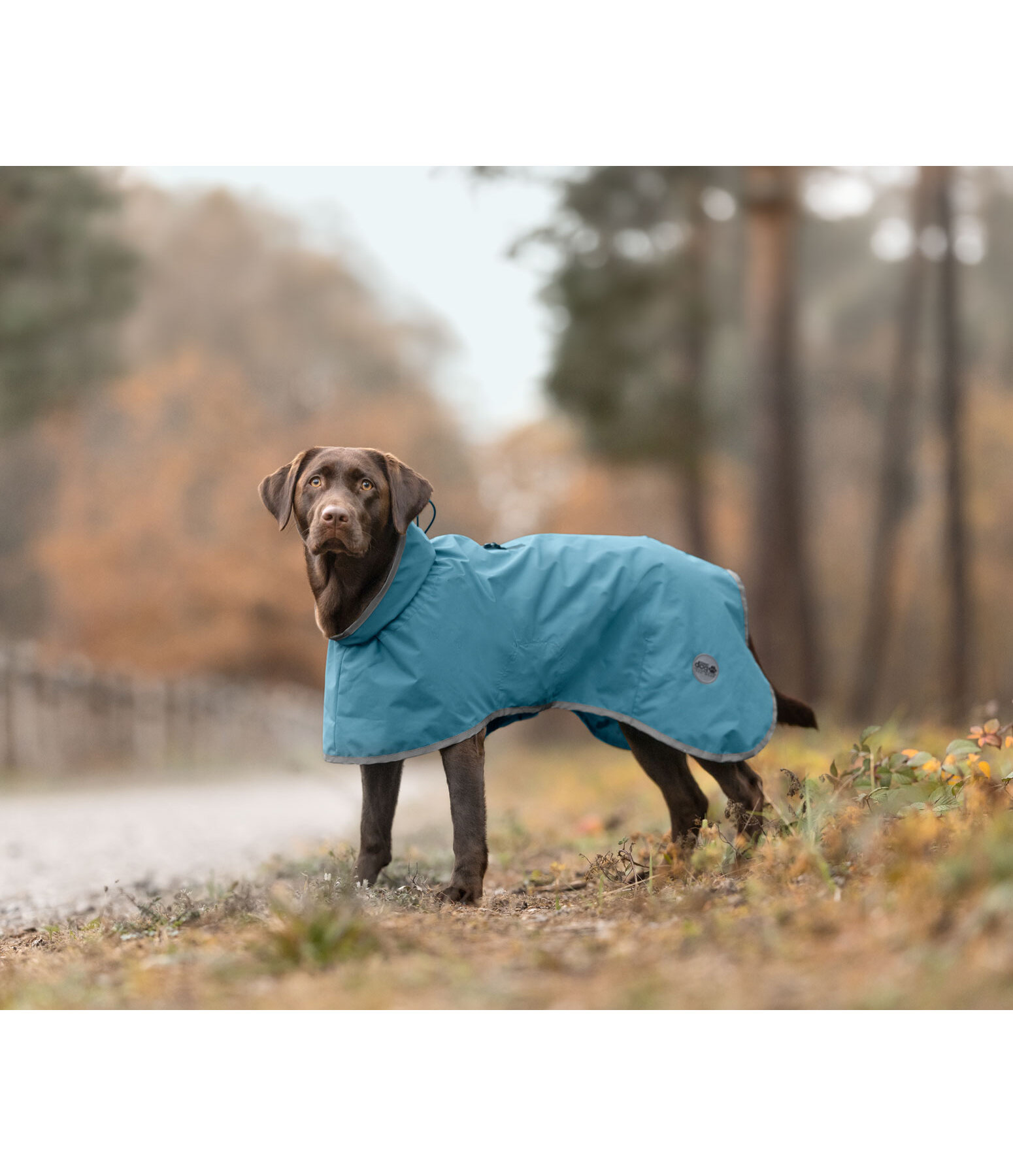 Hunde-Regenmantel Winter Islands, 160 g