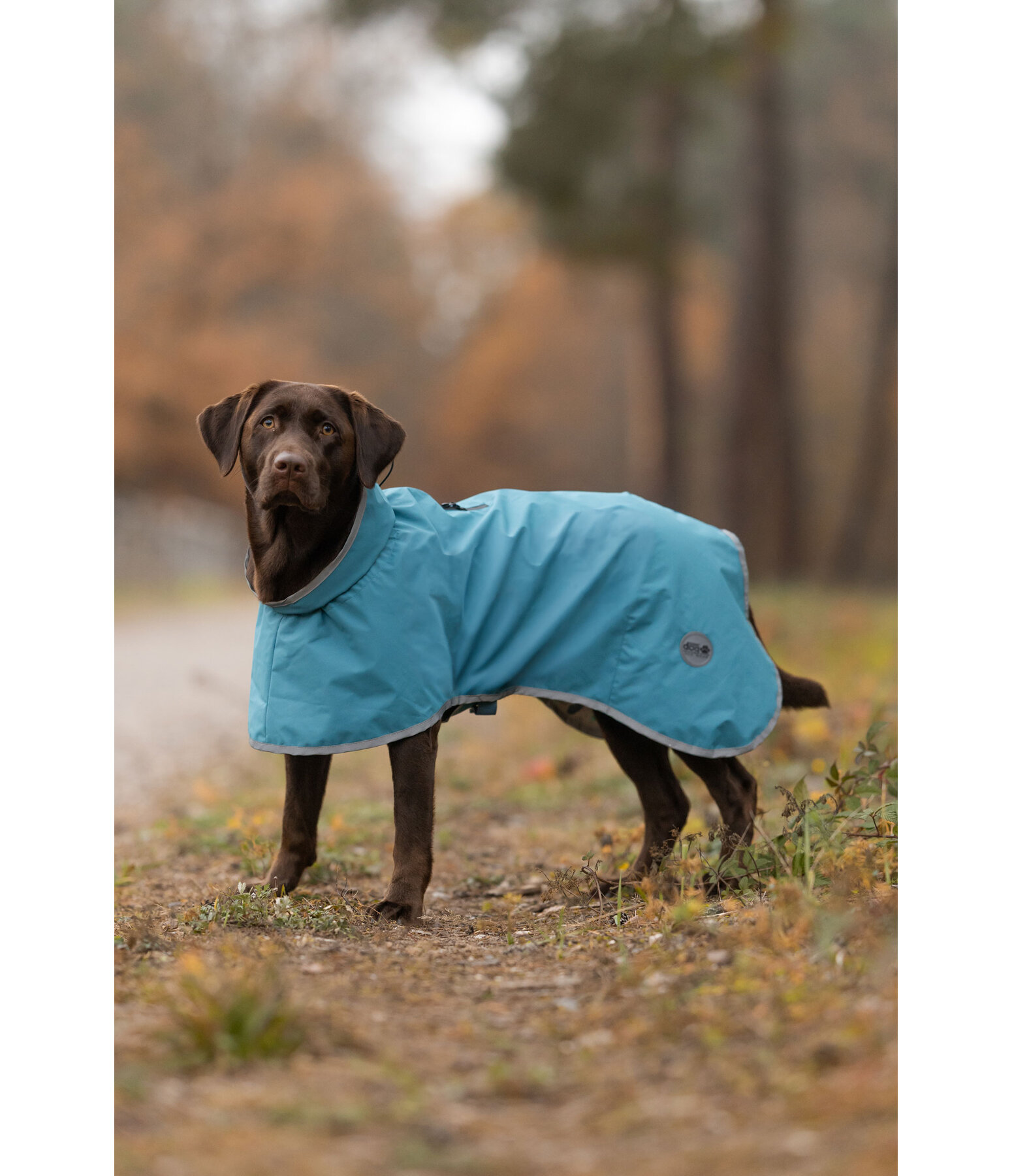Hunde-Regenmantel Winter Islands, 160 g
