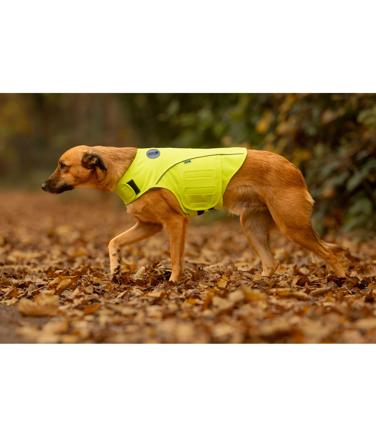 Reflex-Sicherheitsweste f�r Hunde