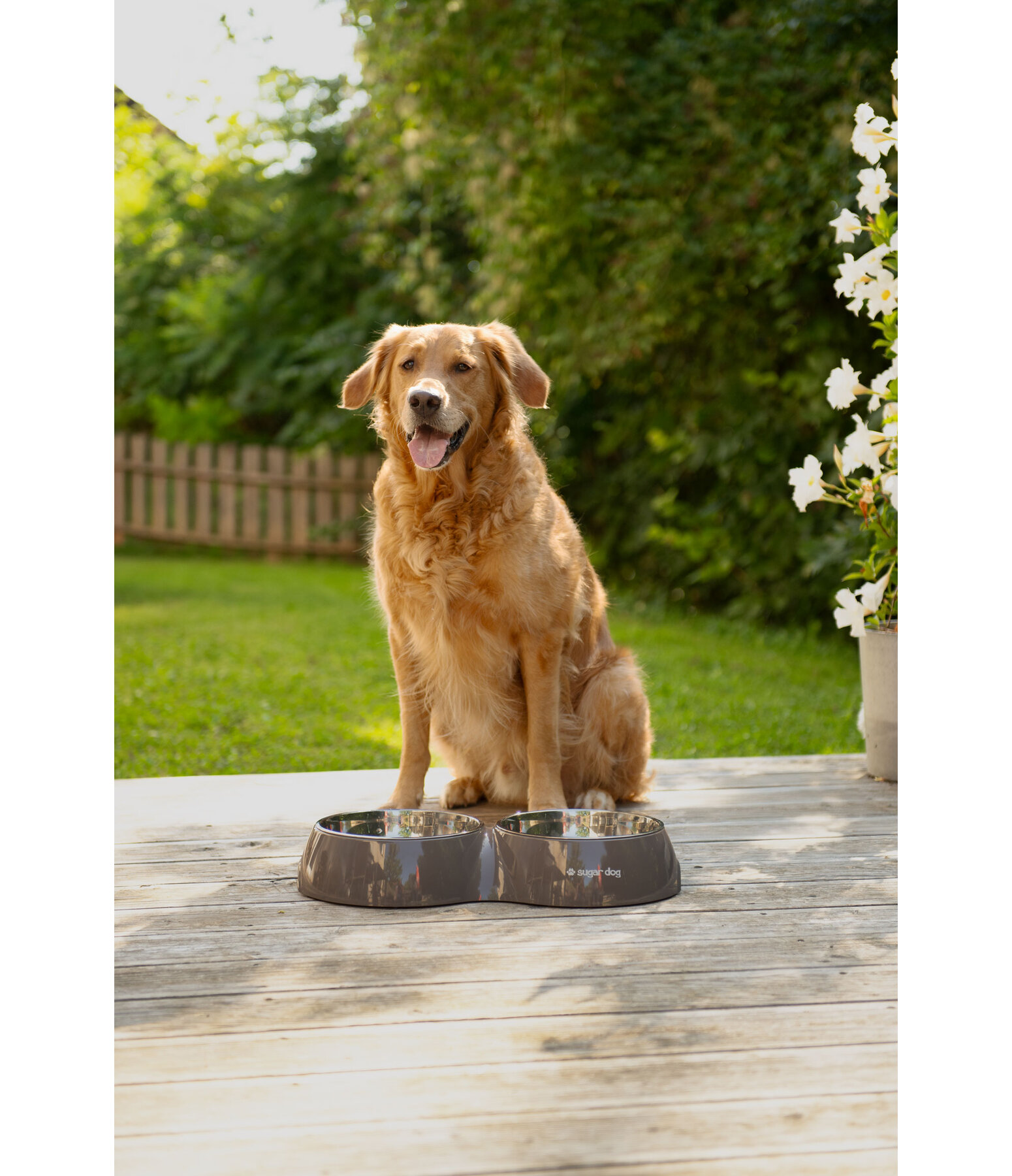 Doppel-Futterstation