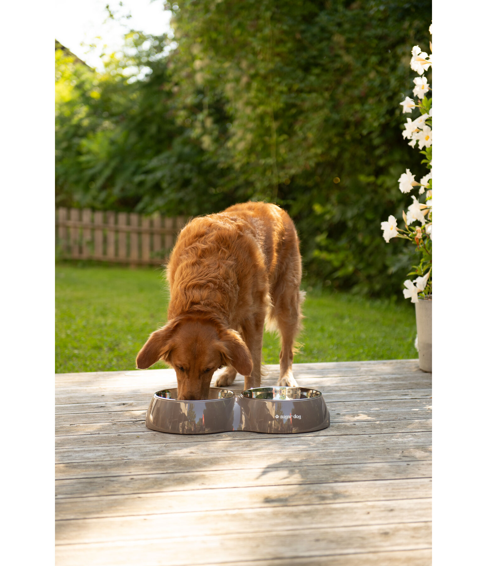 Doppel-Futterstation