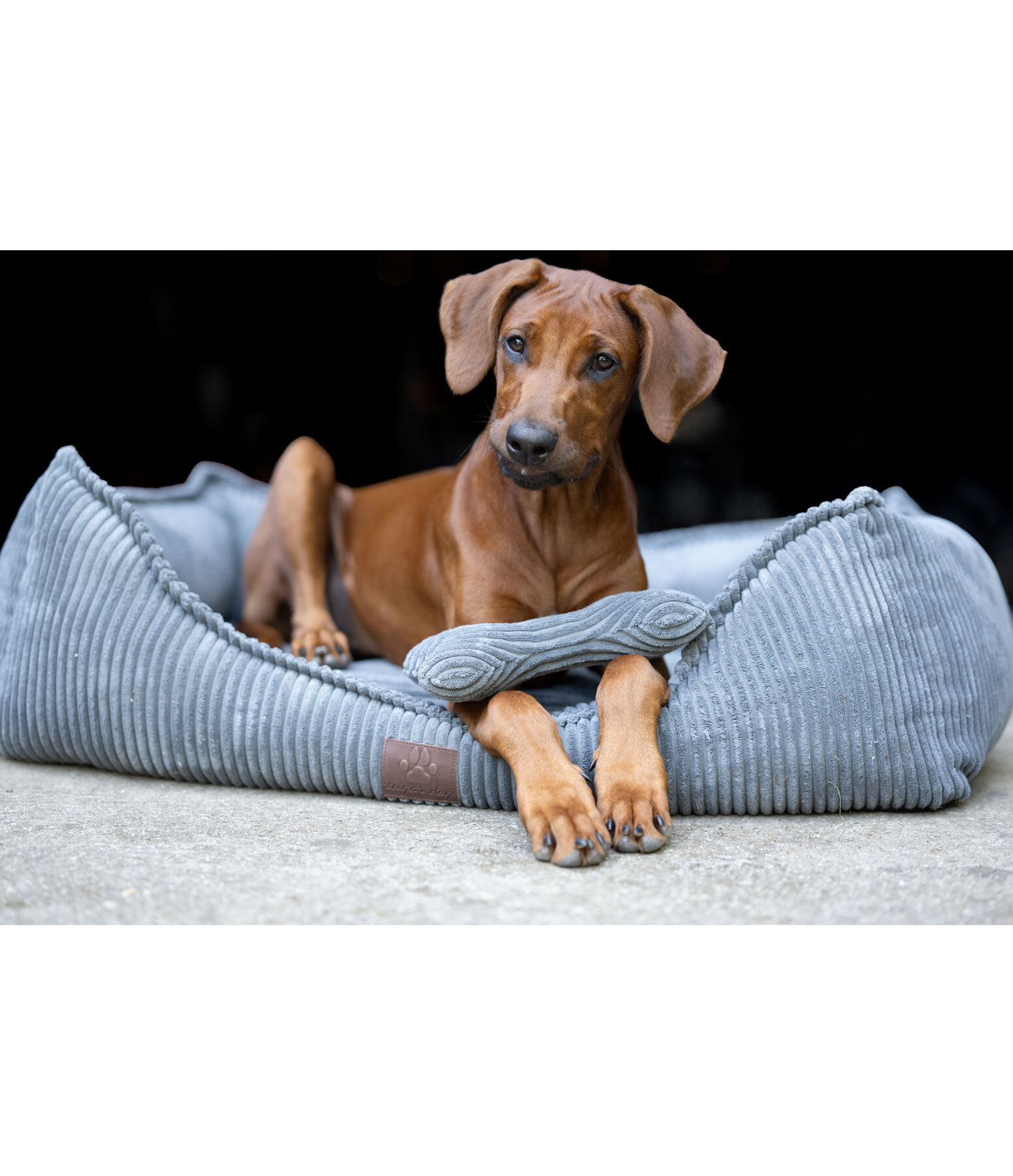 Hunde-Kuschelknochen Cord