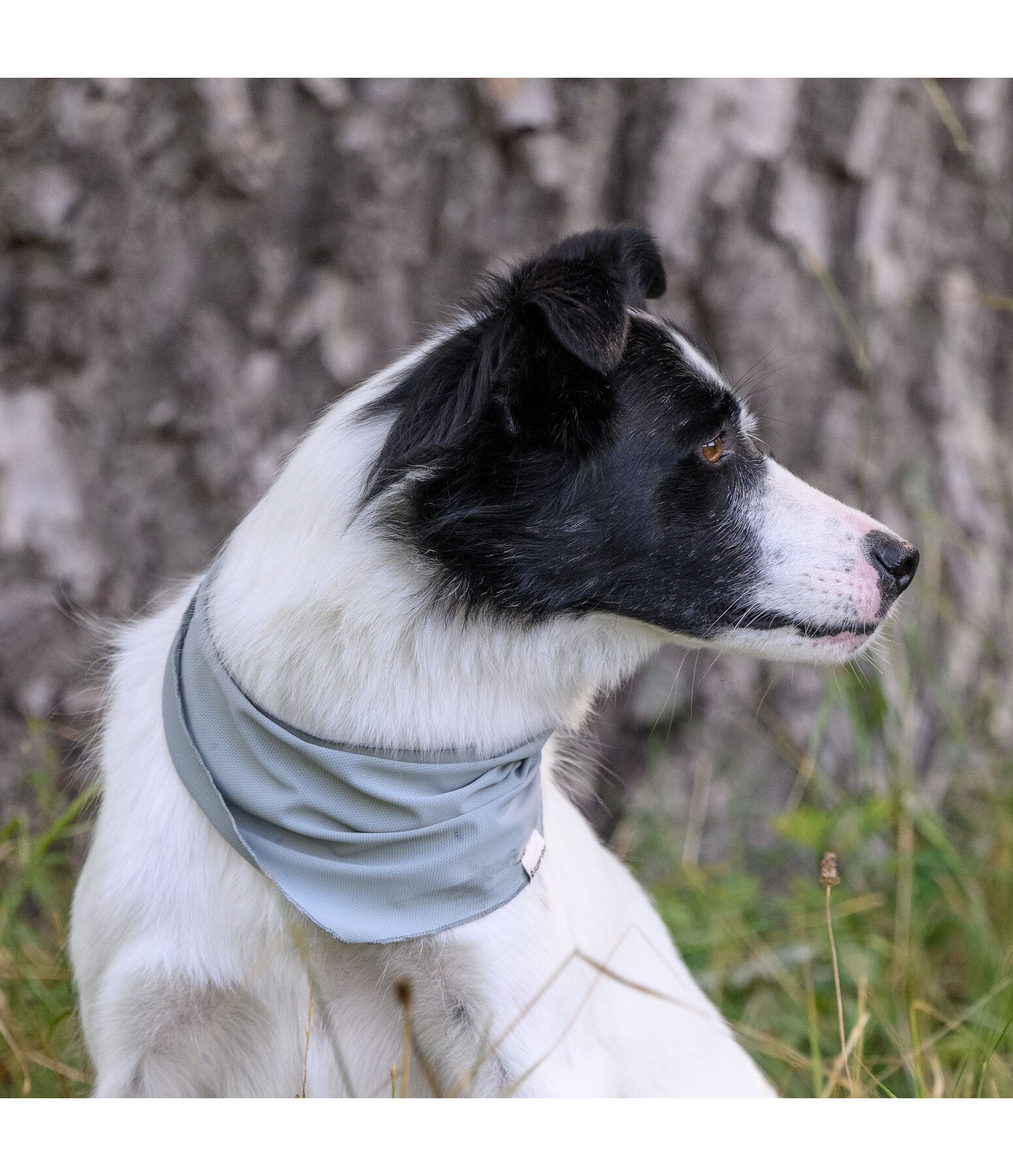 k�hlendes Halstuch Frostie