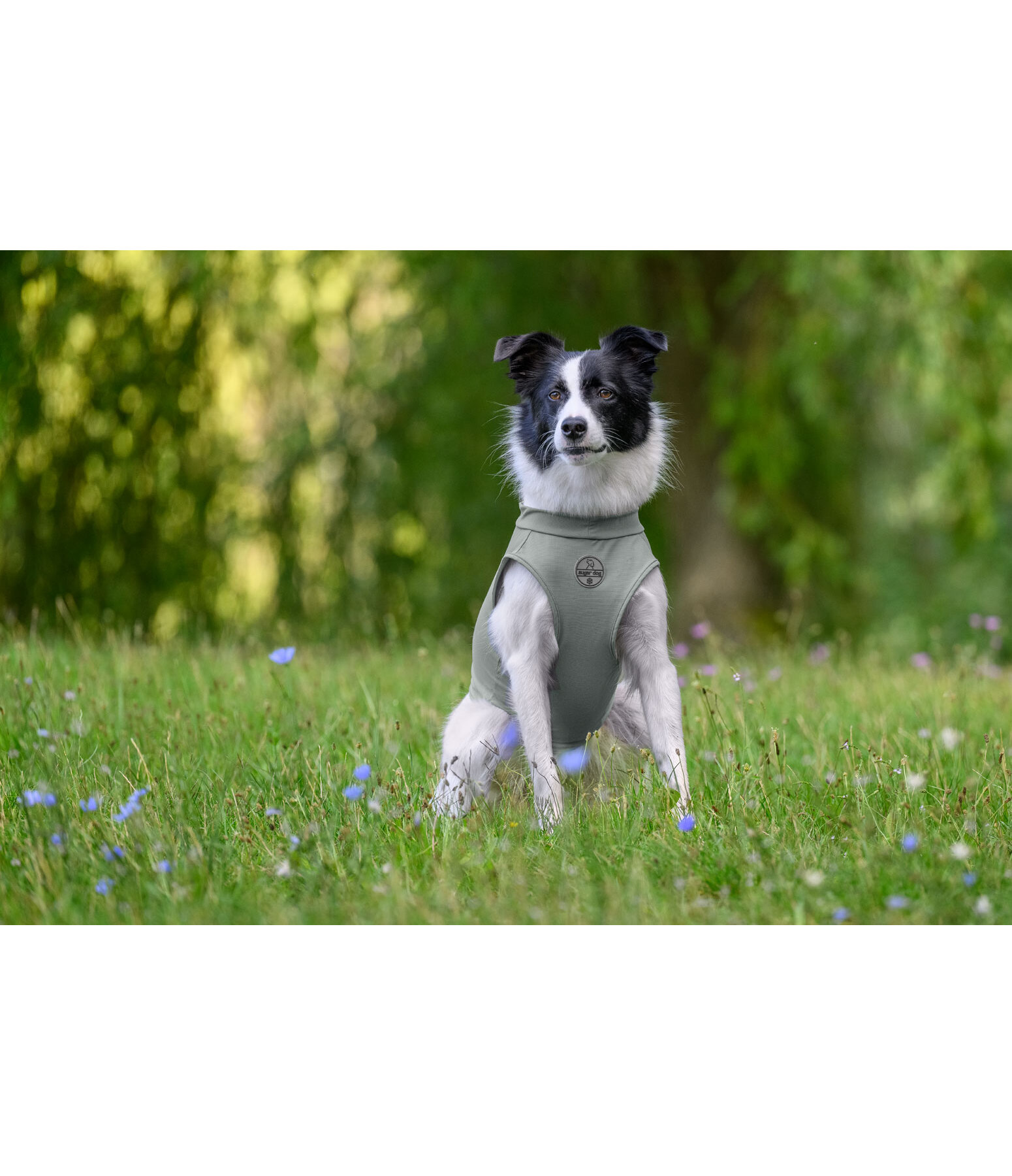 k�hlendes Shirt Frostie