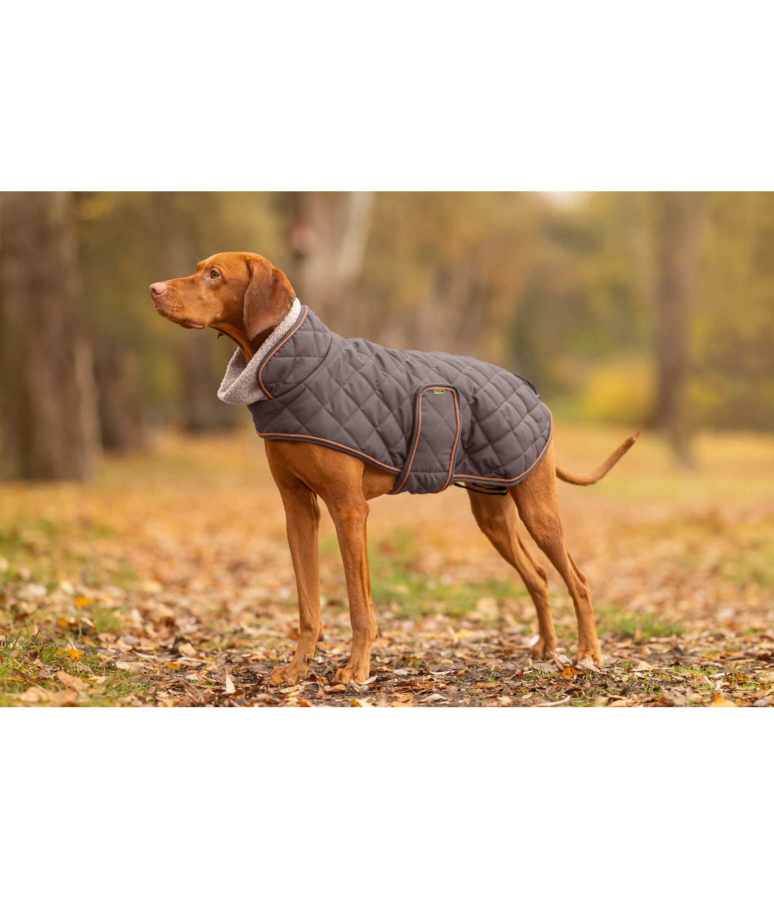 Stepp-Hundemantel mit Teddyfleece-F�tterung Holly