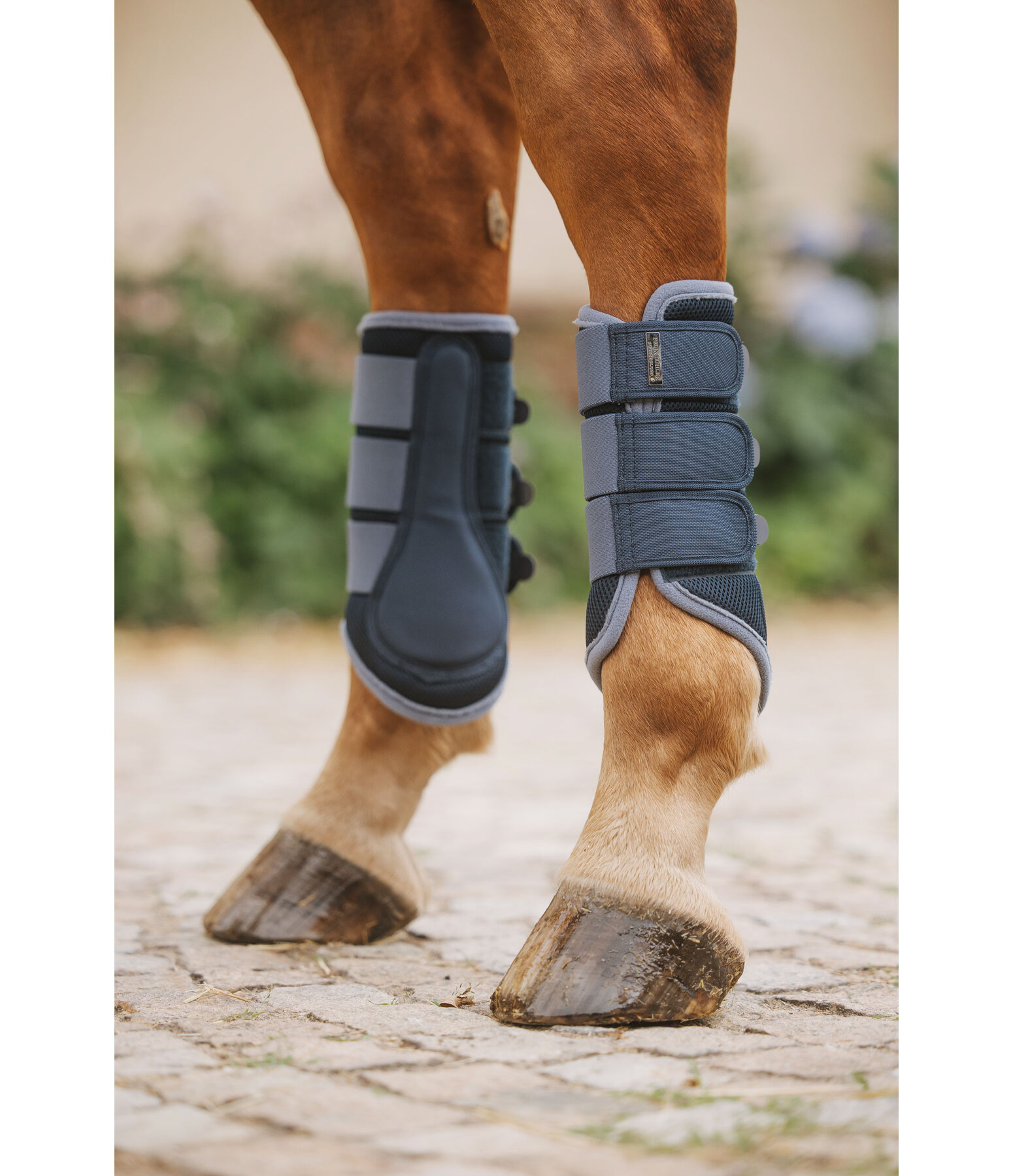 Funktionsgamaschen Swiss Design (Hinterbeine)