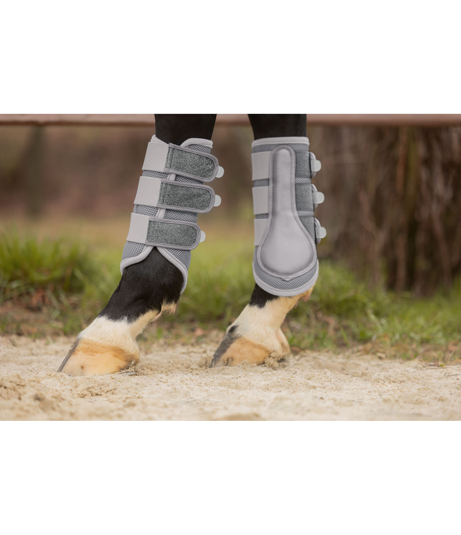 Mesh Gamaschen Glitter, Hinterbeine