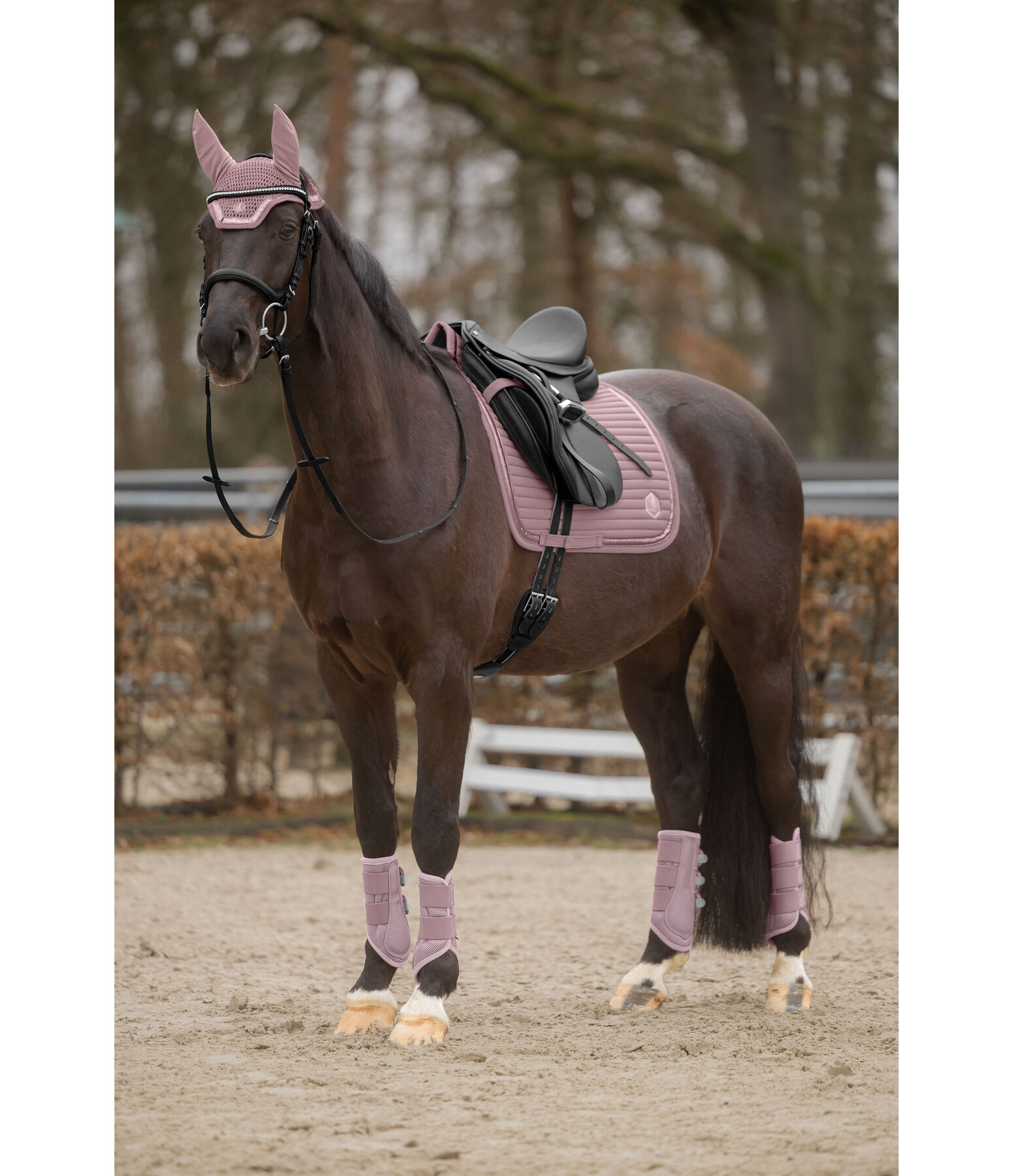 Mesh Gamaschen Glitter, Hinterbeine