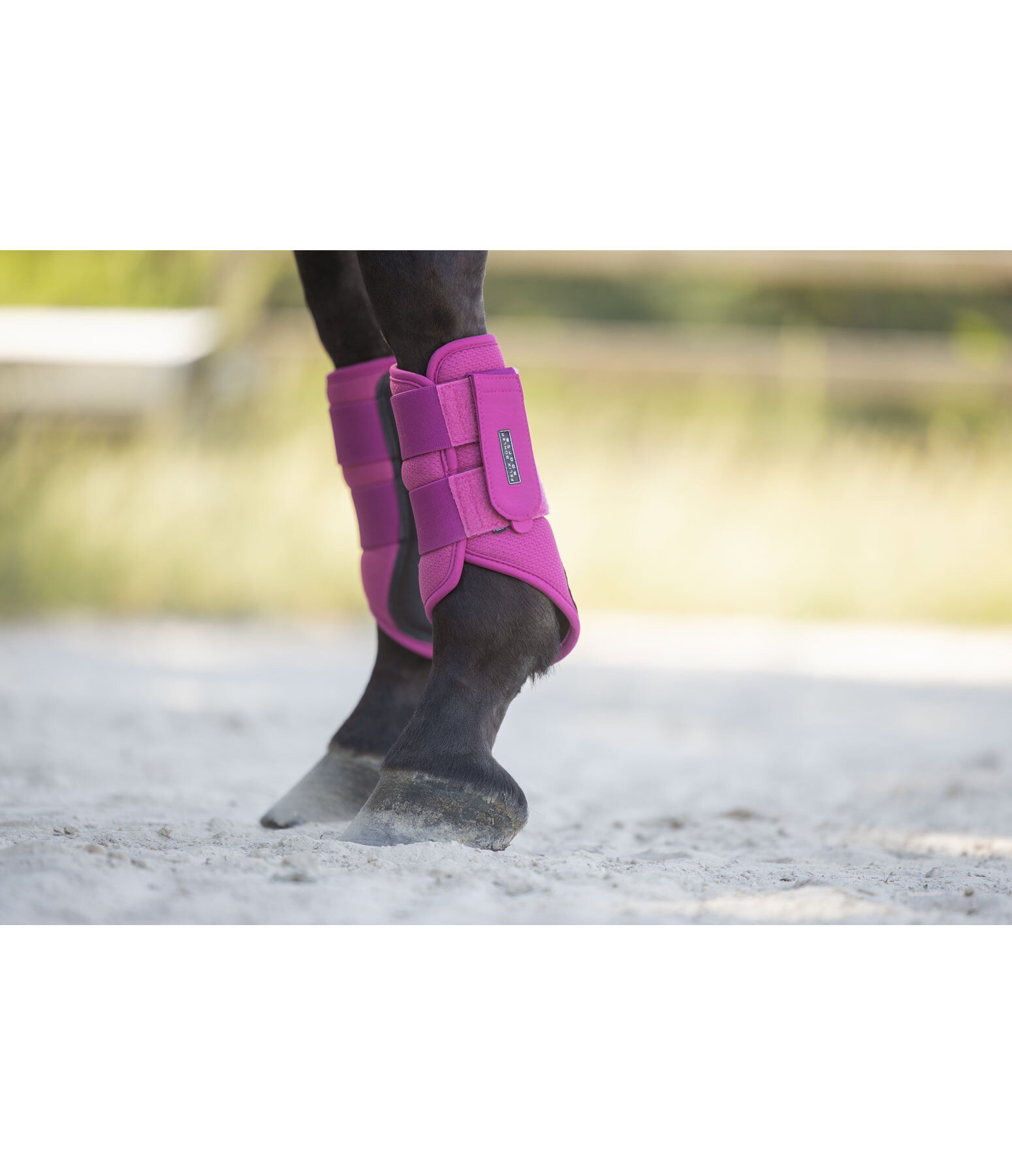 Funktionsgamaschen Mesh-Technology (Vorderbeine)