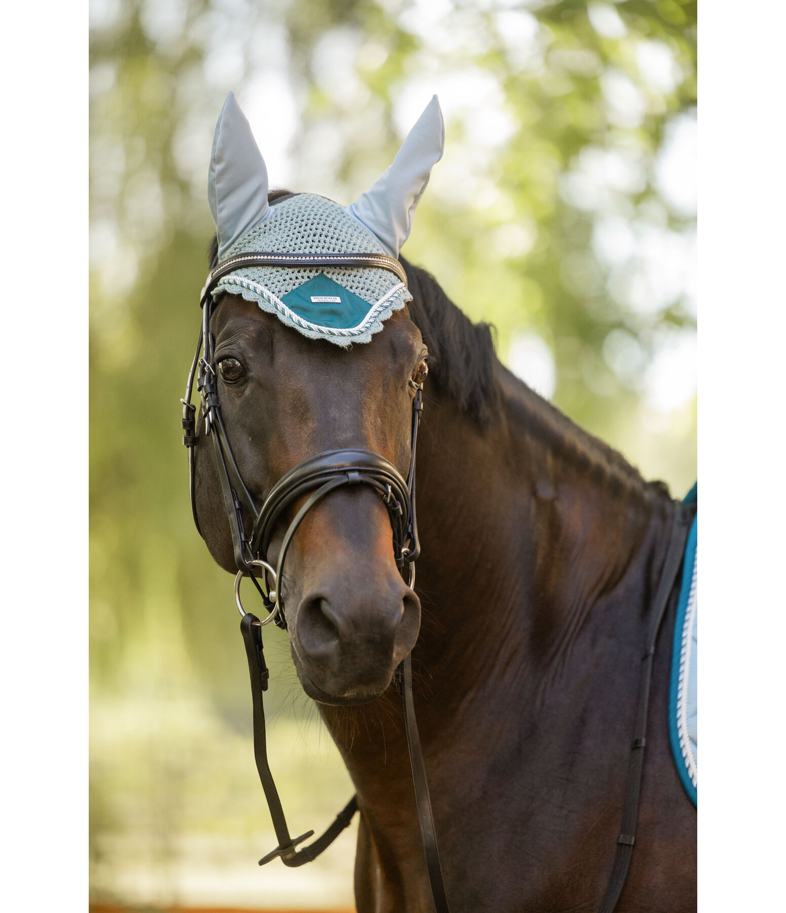 Fliegenhaube Swiss Design