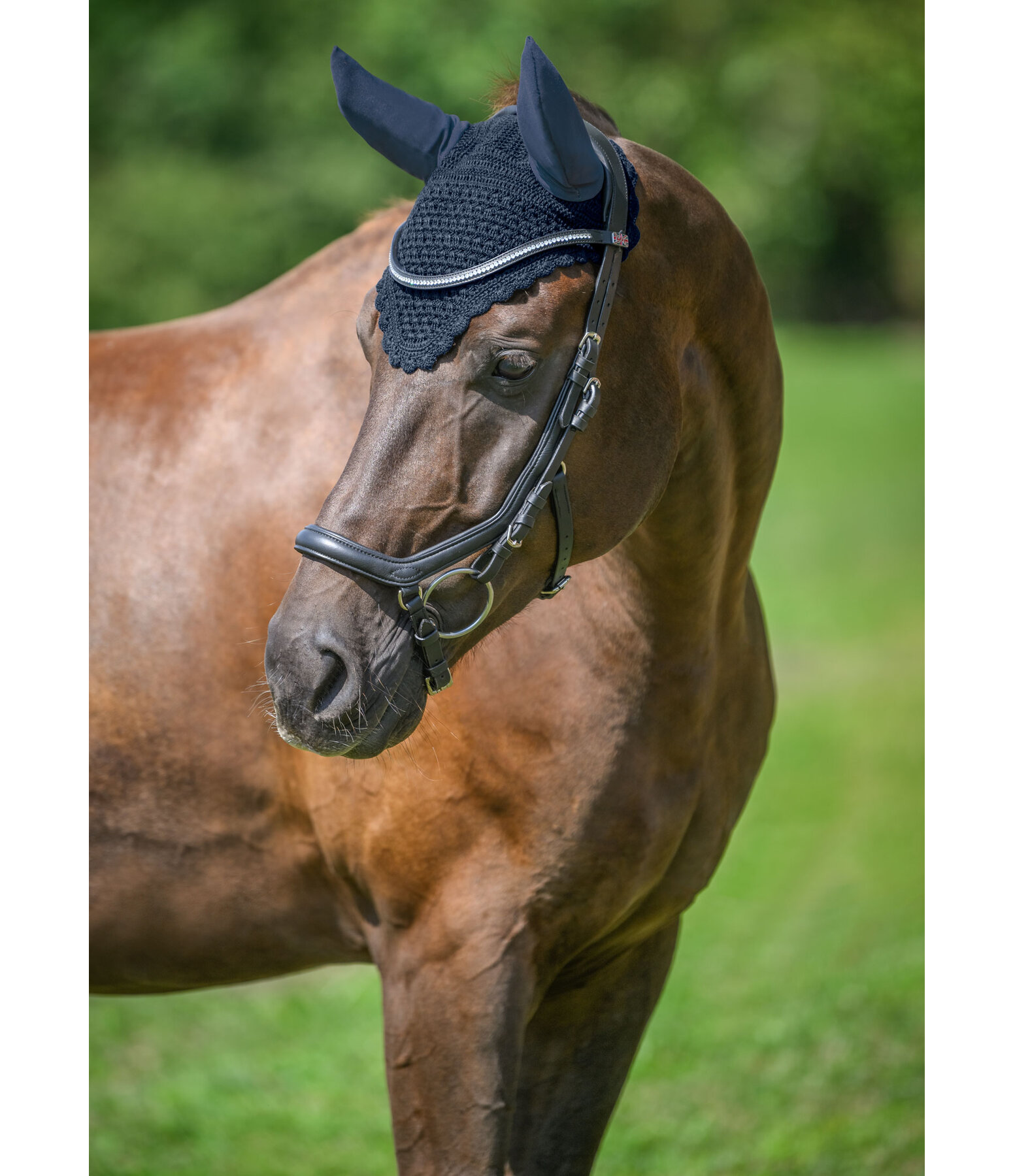 Fliegenhaube Standard