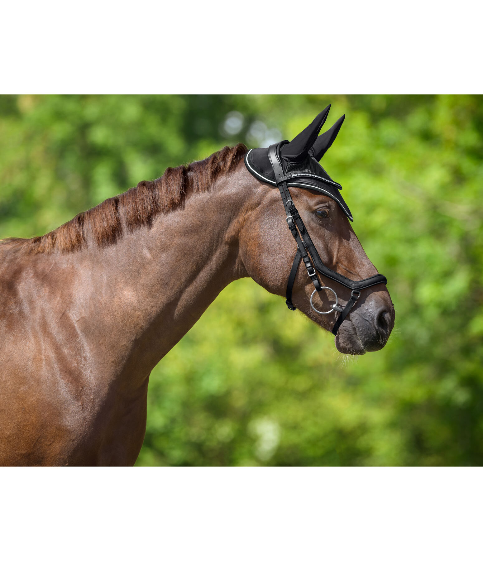 Fliegenhaube Sporty Standard