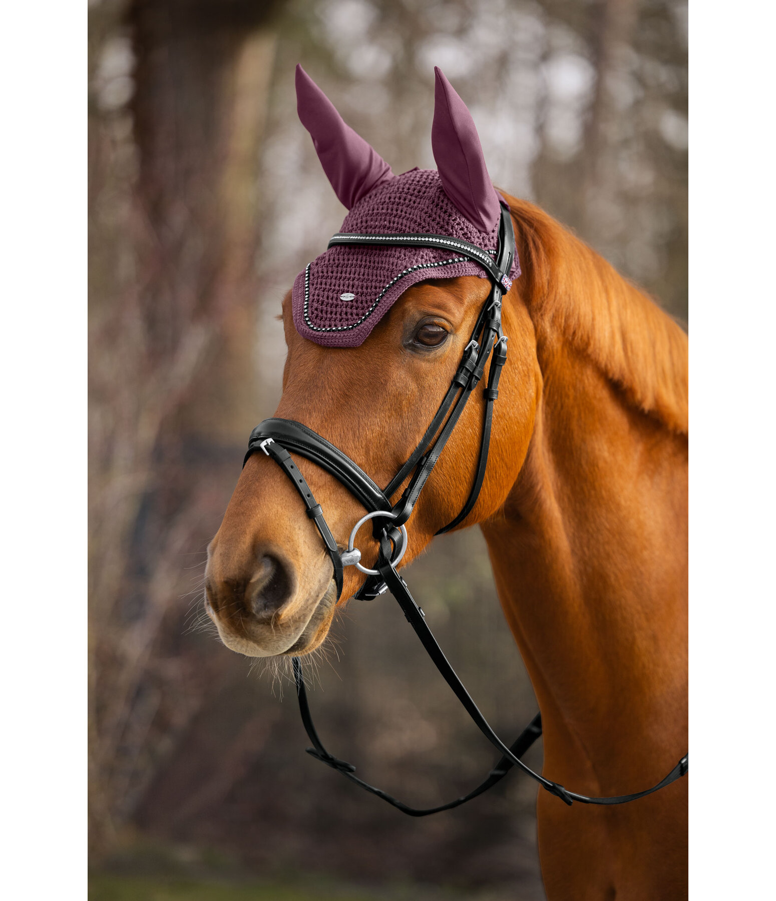 Fliegenhaube Brilliant