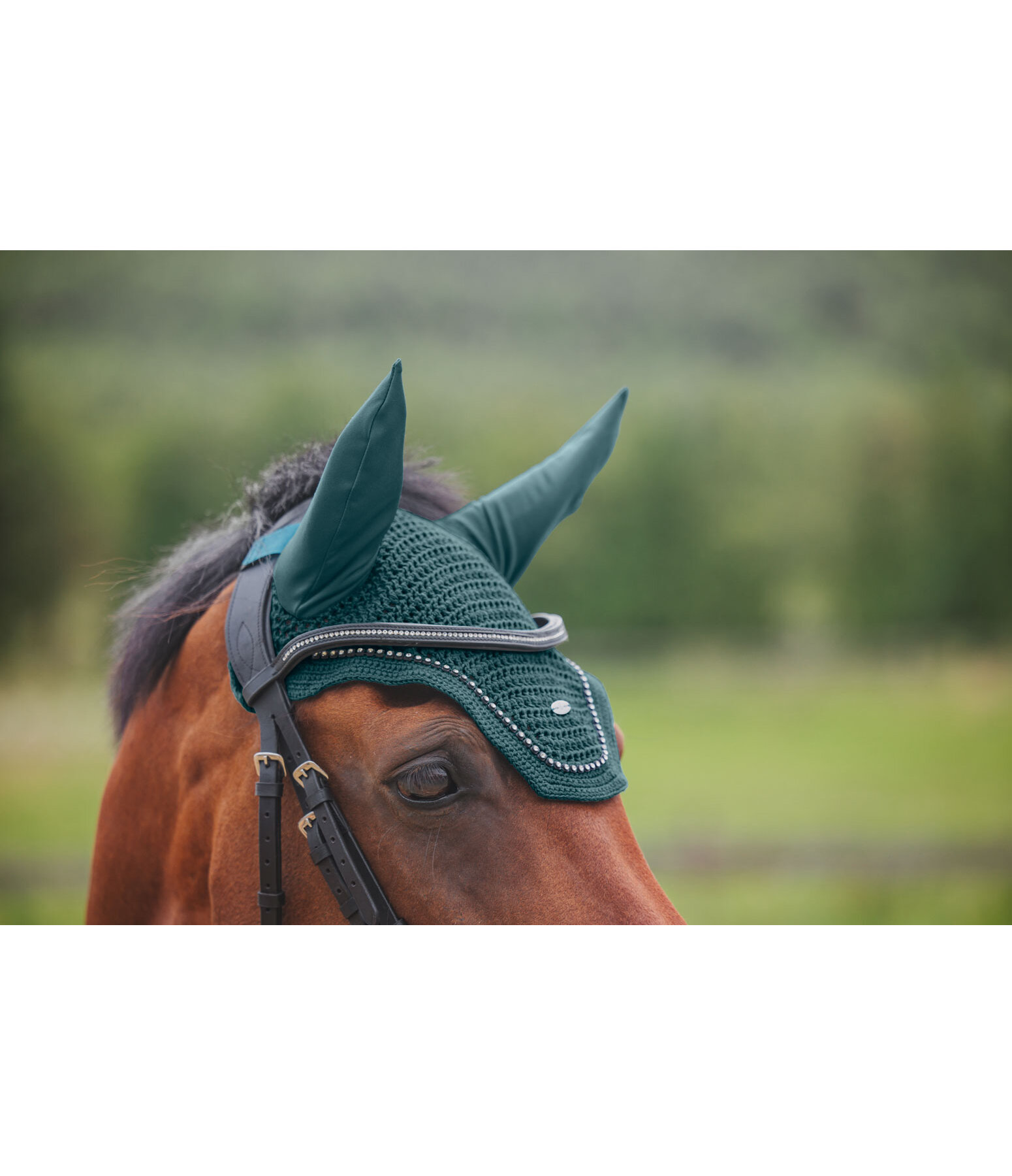 Fliegenhaube Brilliant