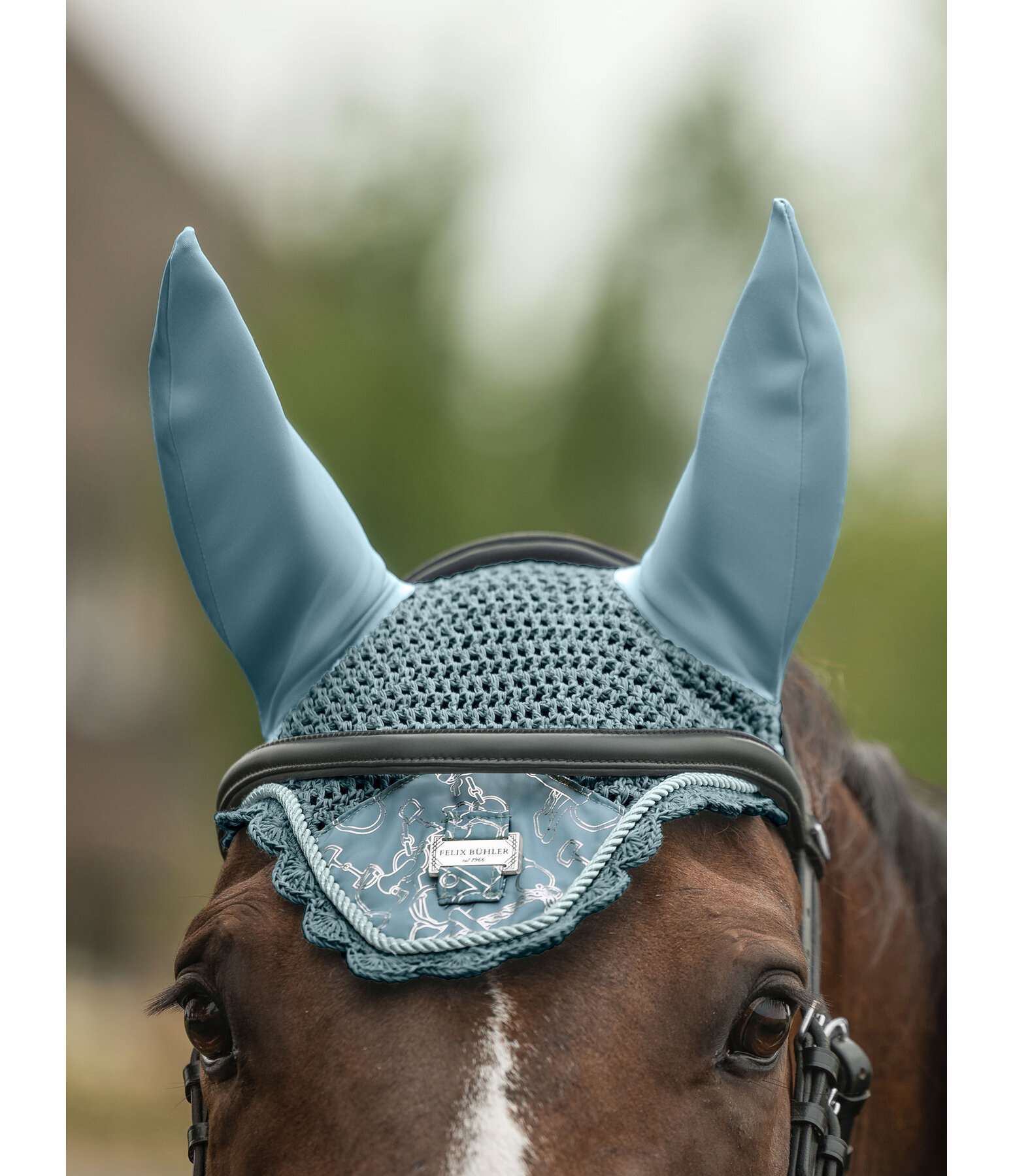 Fliegenhaube Signature