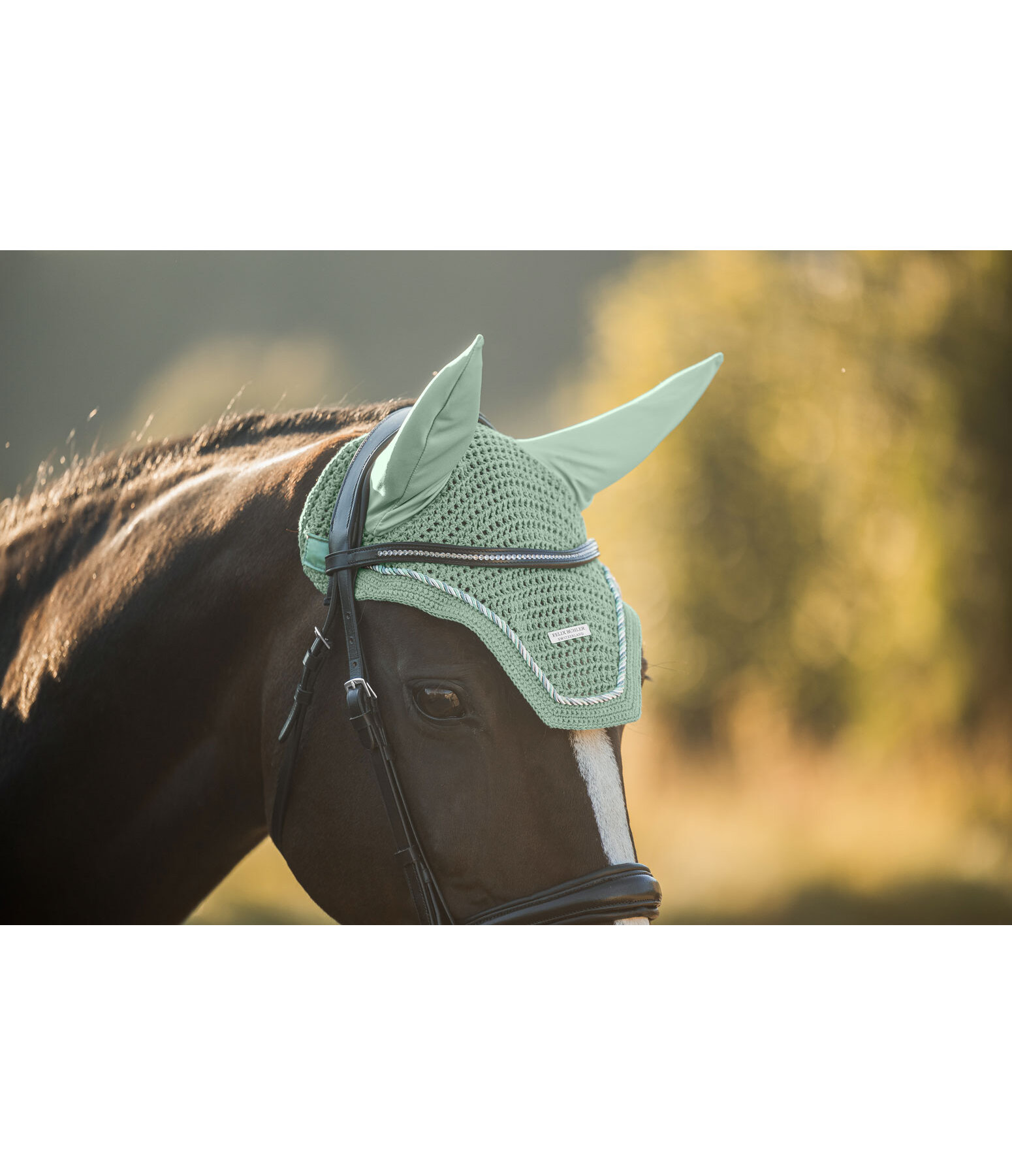 Fliegenhaube Sophistication