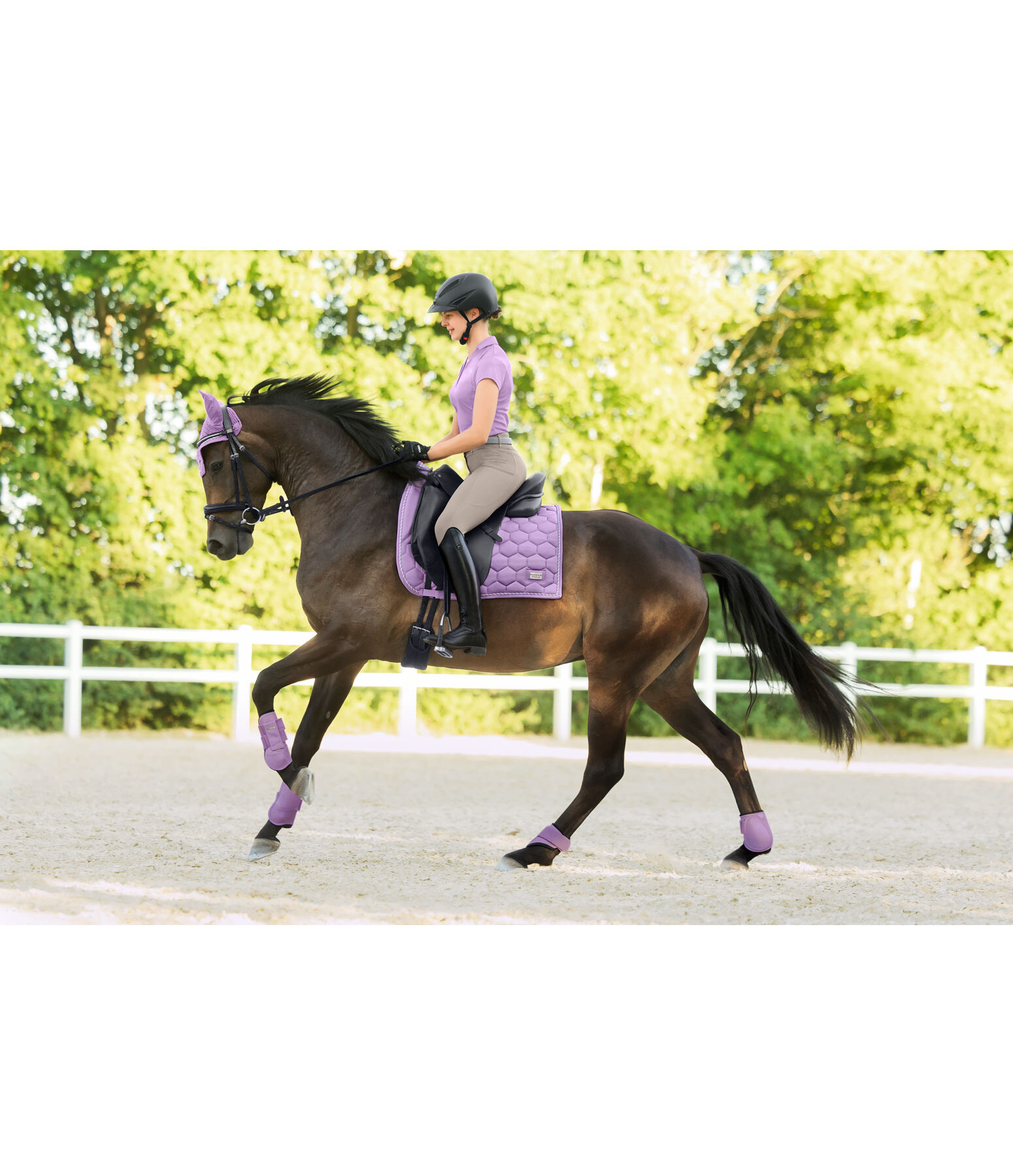 Fliegenhaube Sophistication