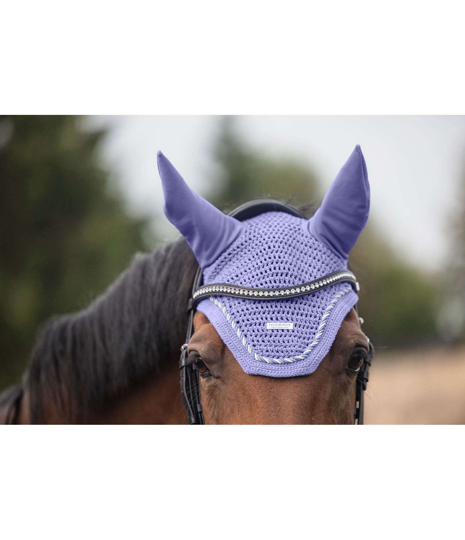 Fliegenhaube Sophistication