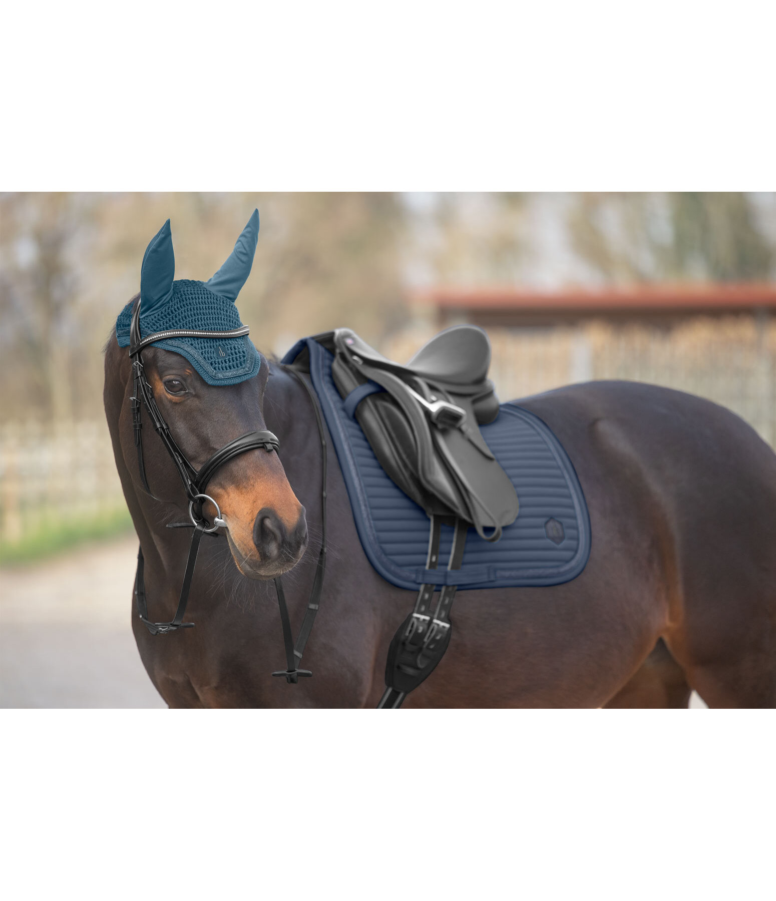 Fliegenhaube Glitter