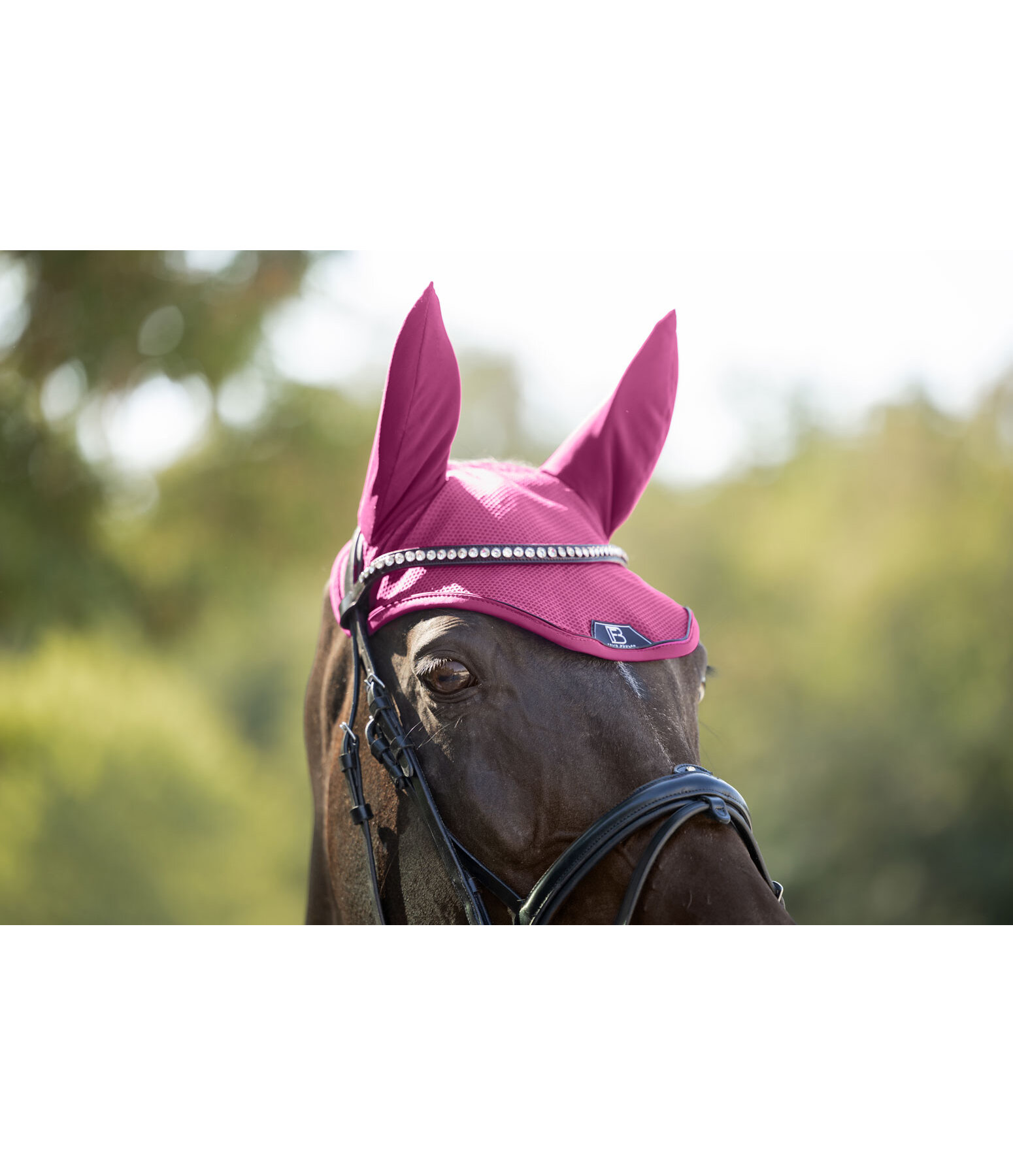 Fliegenhaube Mesh-Technology