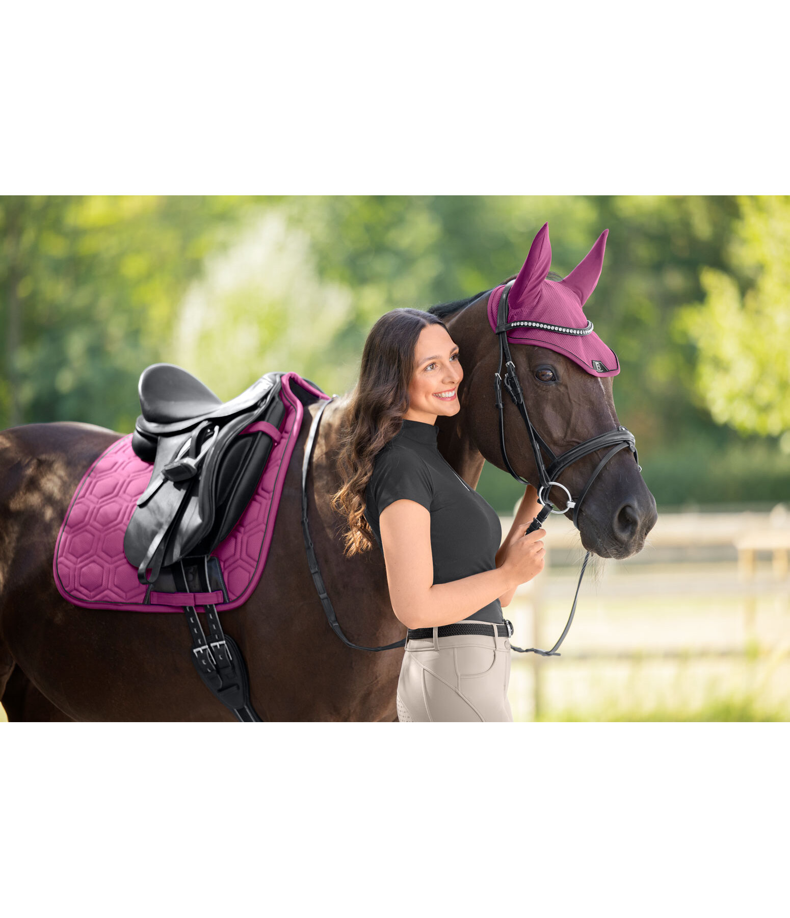 Fliegenhaube Mesh-Technology