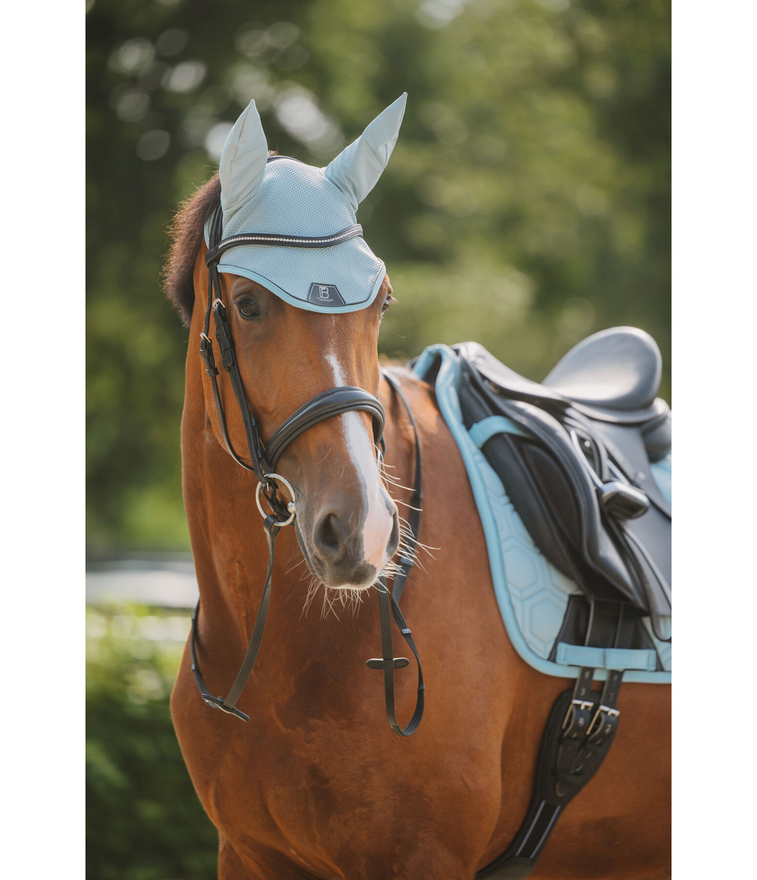 Fliegenhaube Mesh-Technology