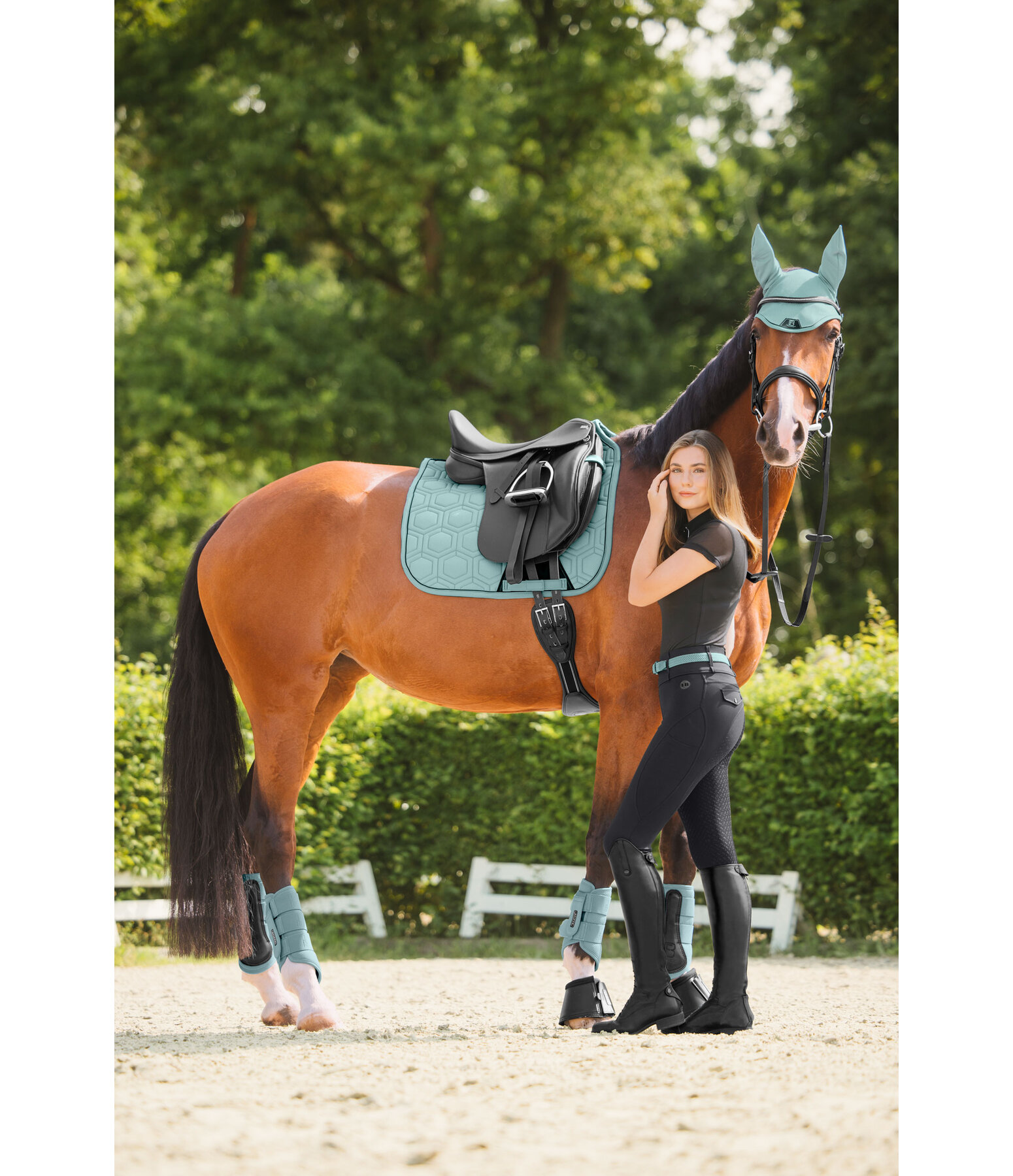 Fliegenhaube Mesh-Technology