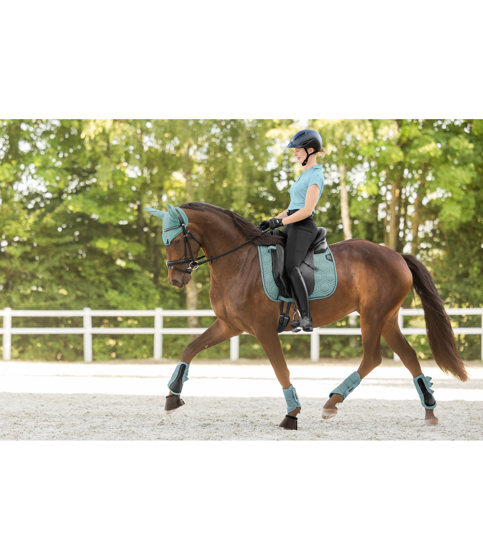 Fliegenhaube Mesh-Technology