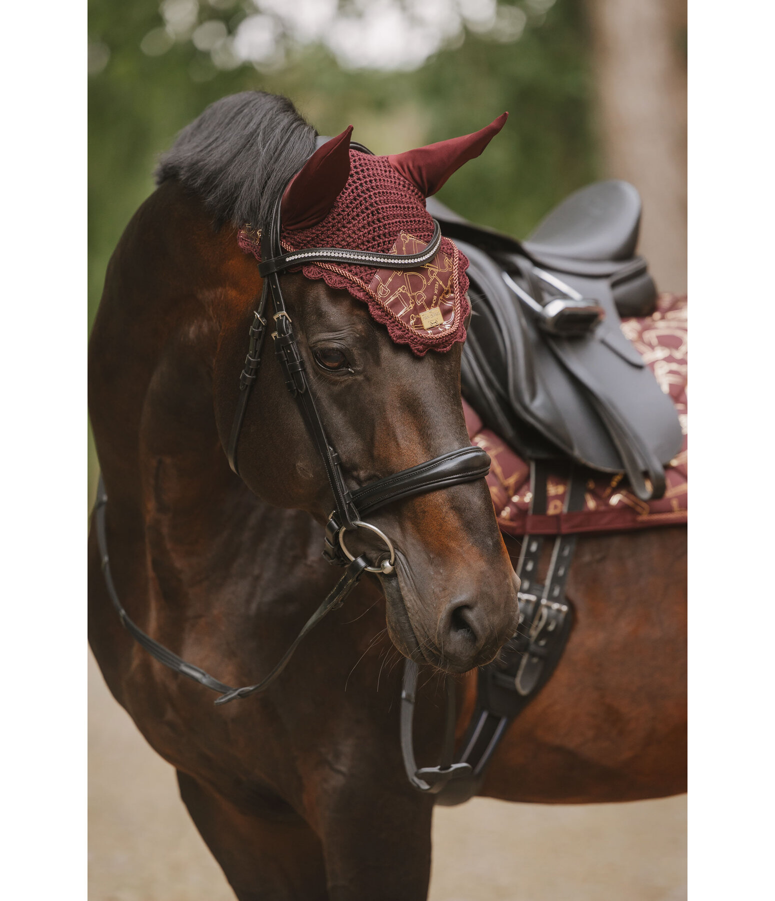 Fliegenhaube Signature III